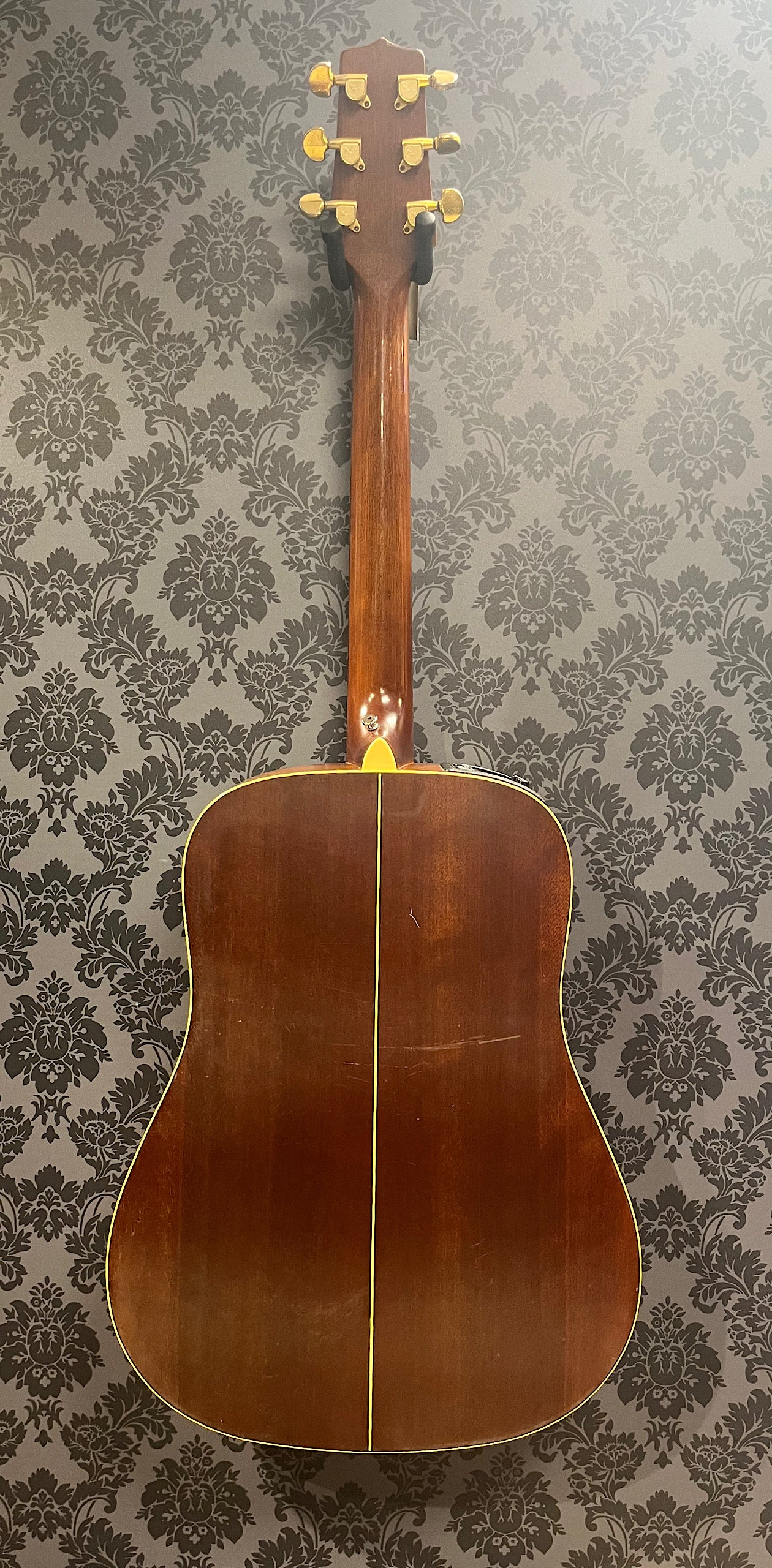 Takamine EG-10 G-series (occasion)