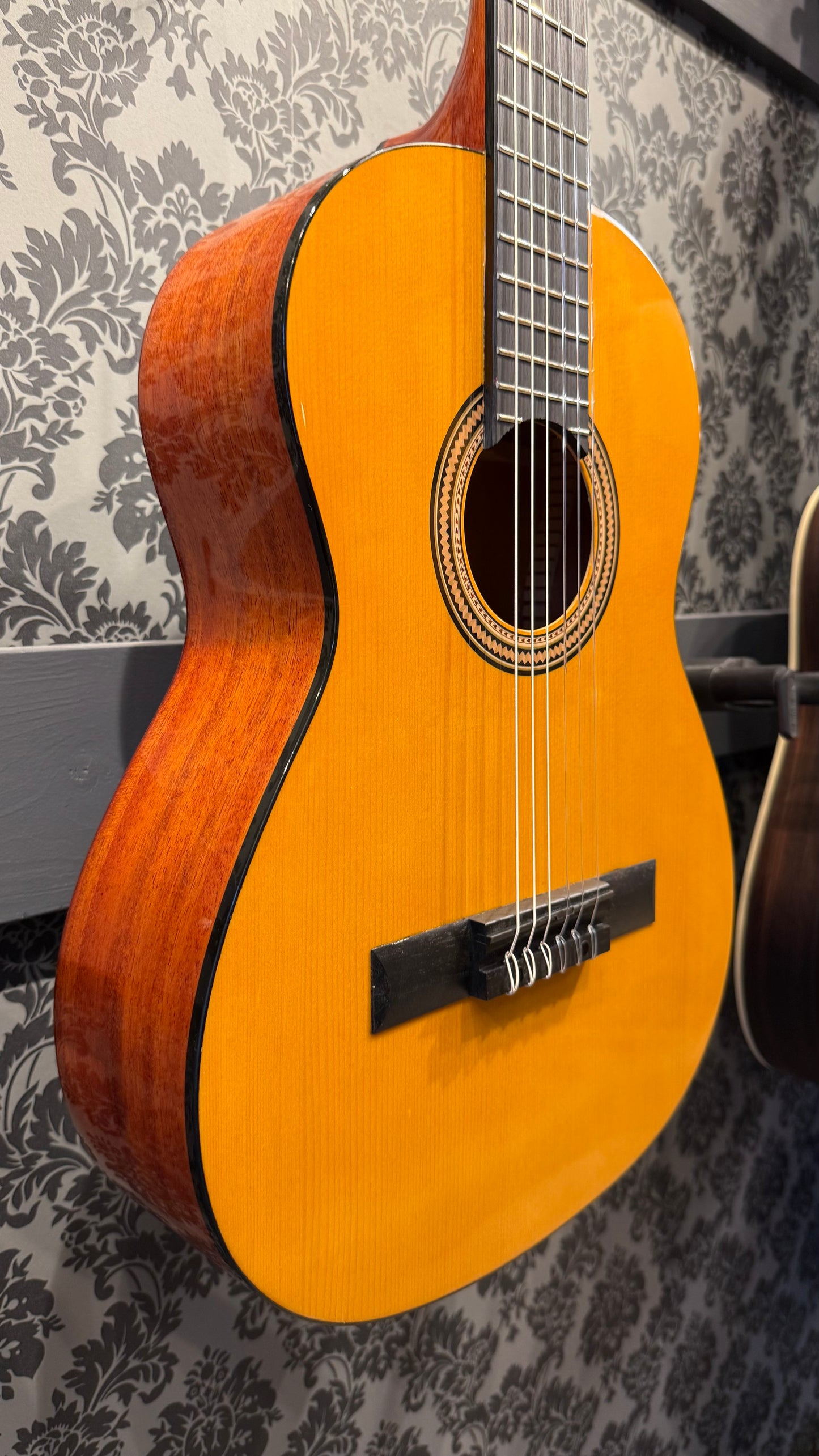 Valencia VC-263 3/4 Sitka Spruce classic