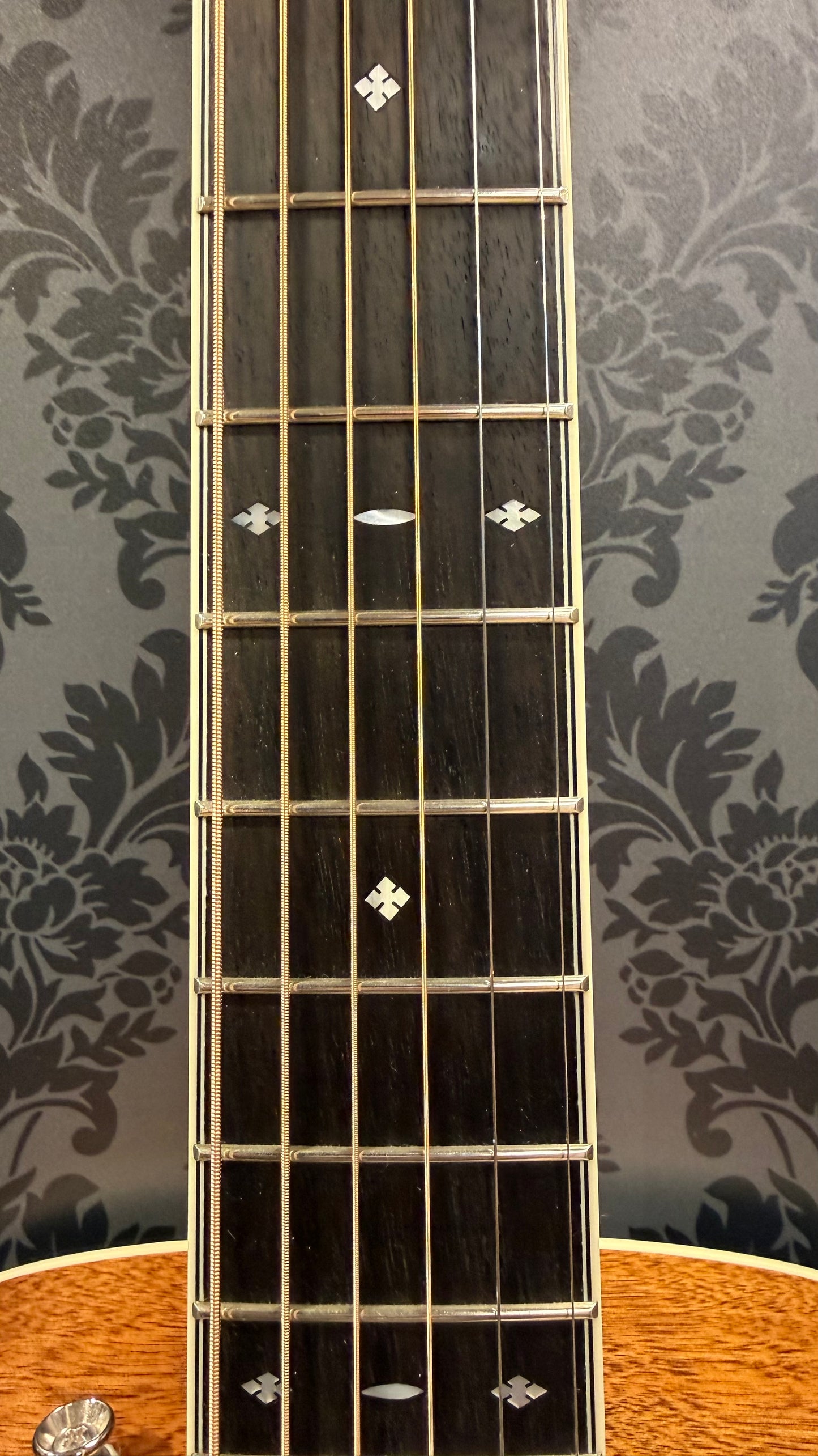 Fender Paramount PD-220E Natural incl.case (occasion)