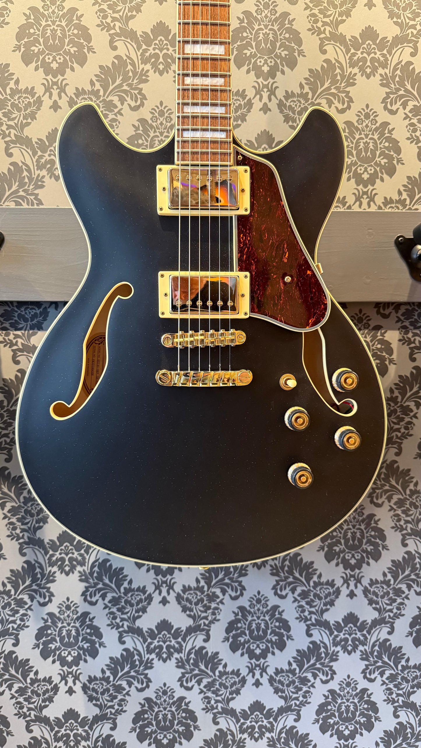 Ibanez AS73 G BKF (occasion)