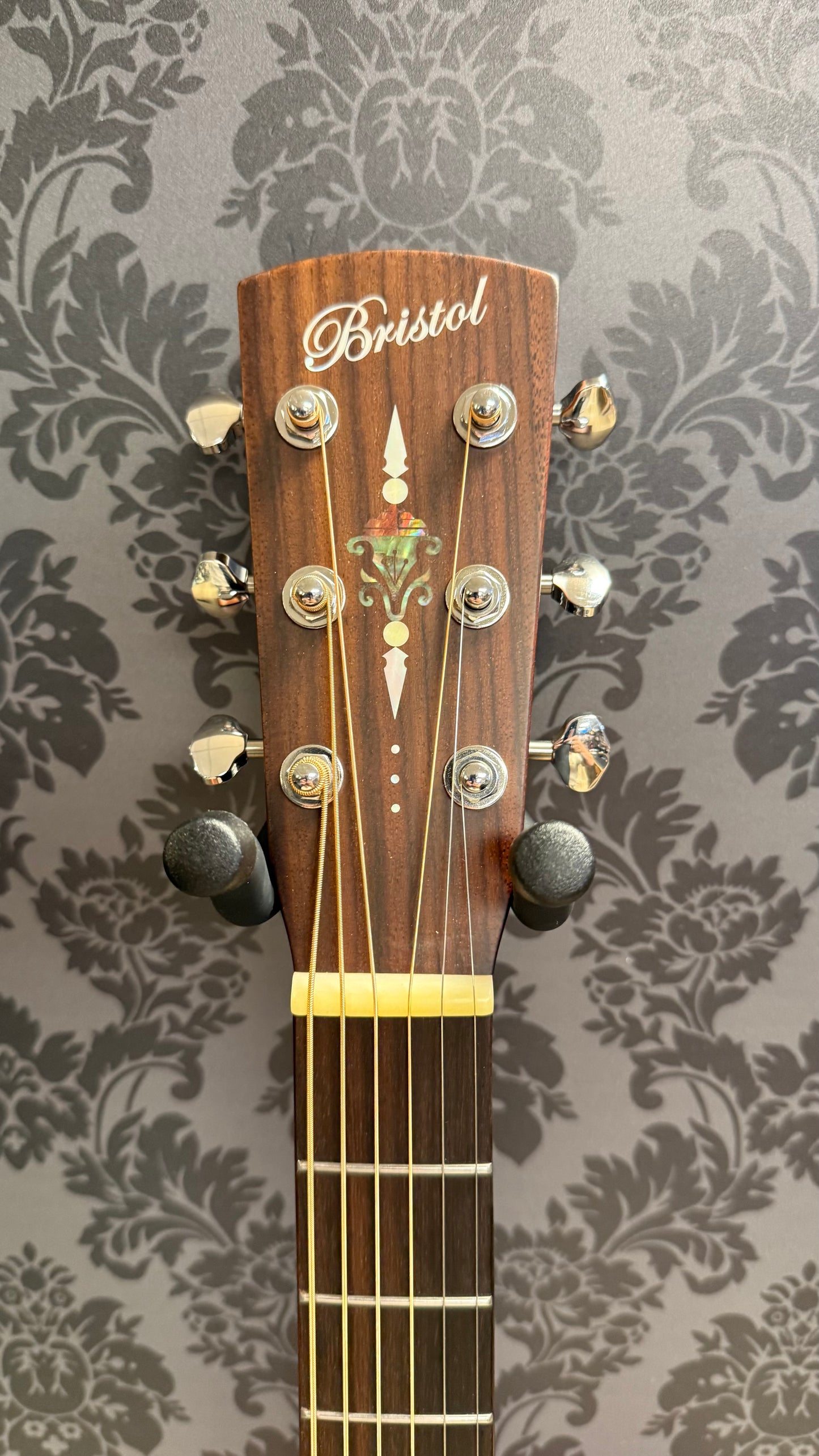 Bristol BD-2165B incl Gigbag