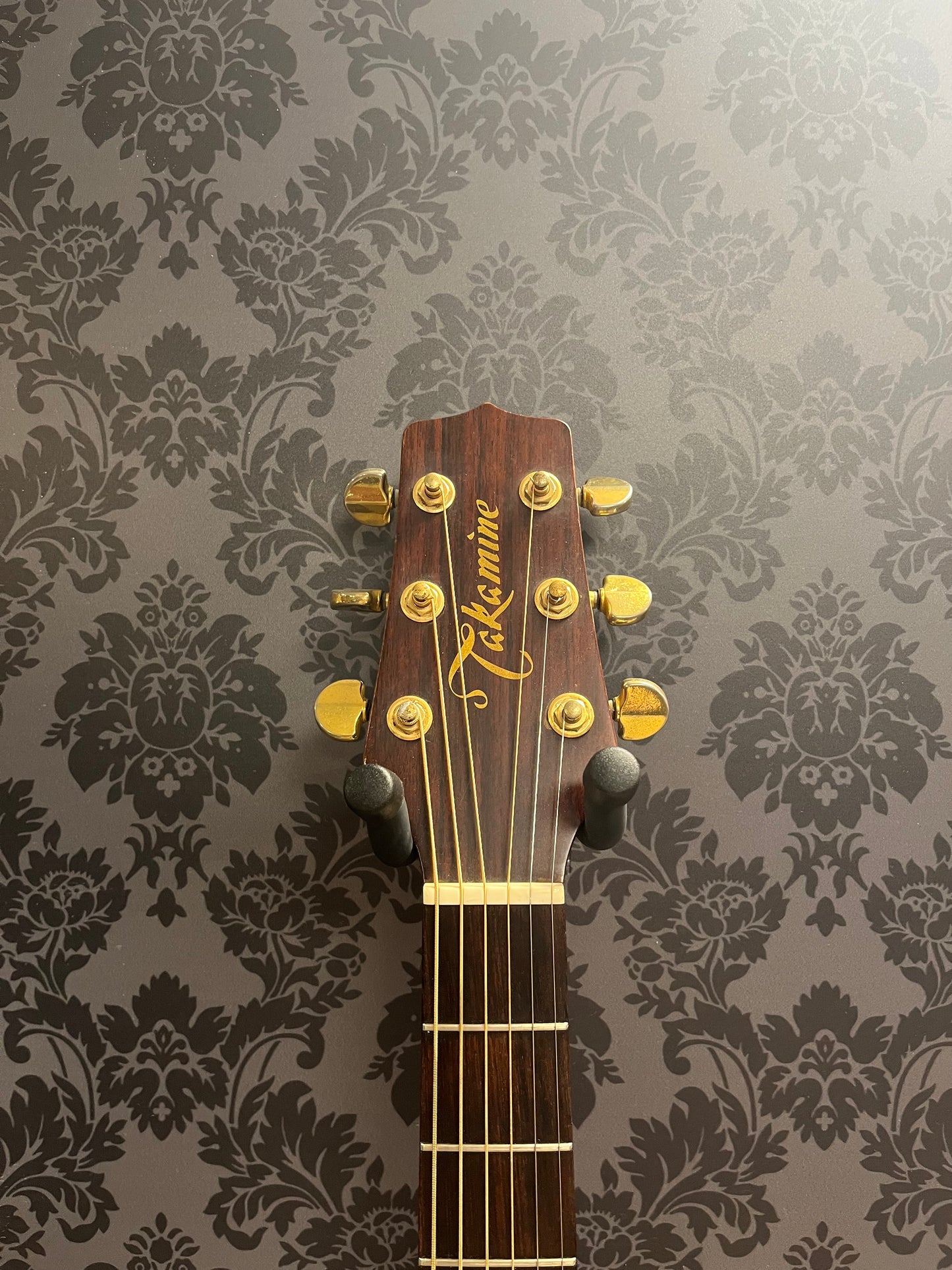 Takamine EG-10 G-series (occasion)