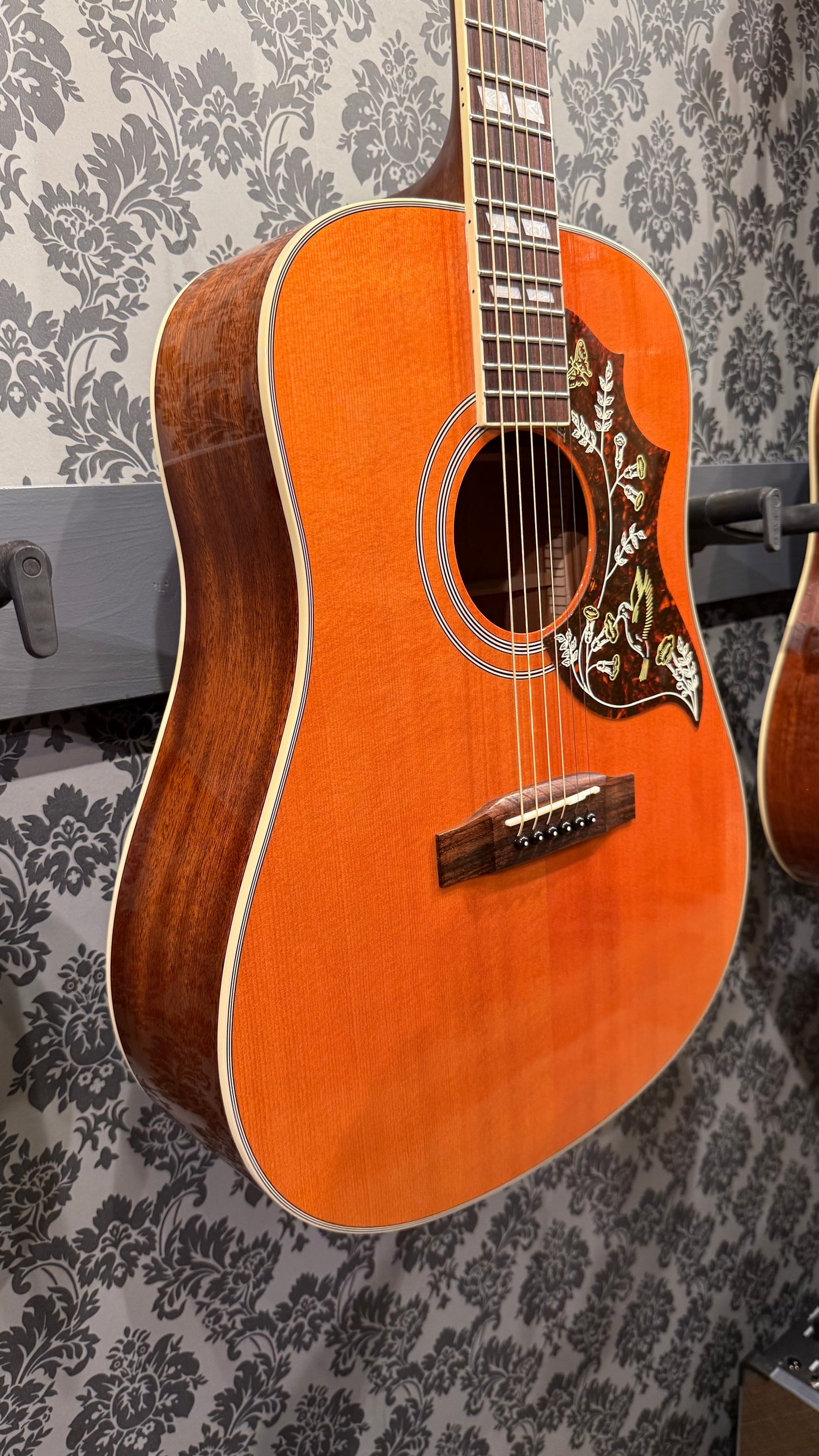 Stanford Deja Vu Series D-Bird Natural