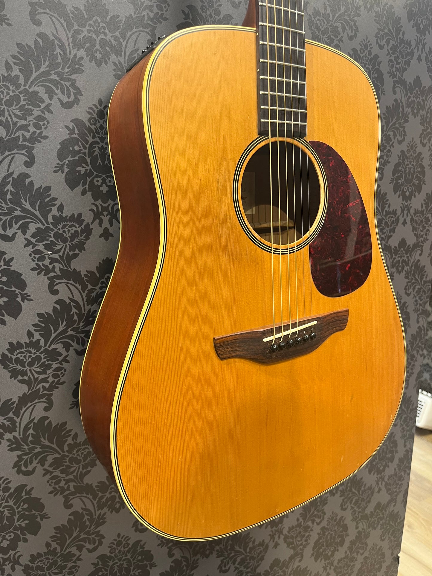 Takamine EG-10 G-series (occasion)