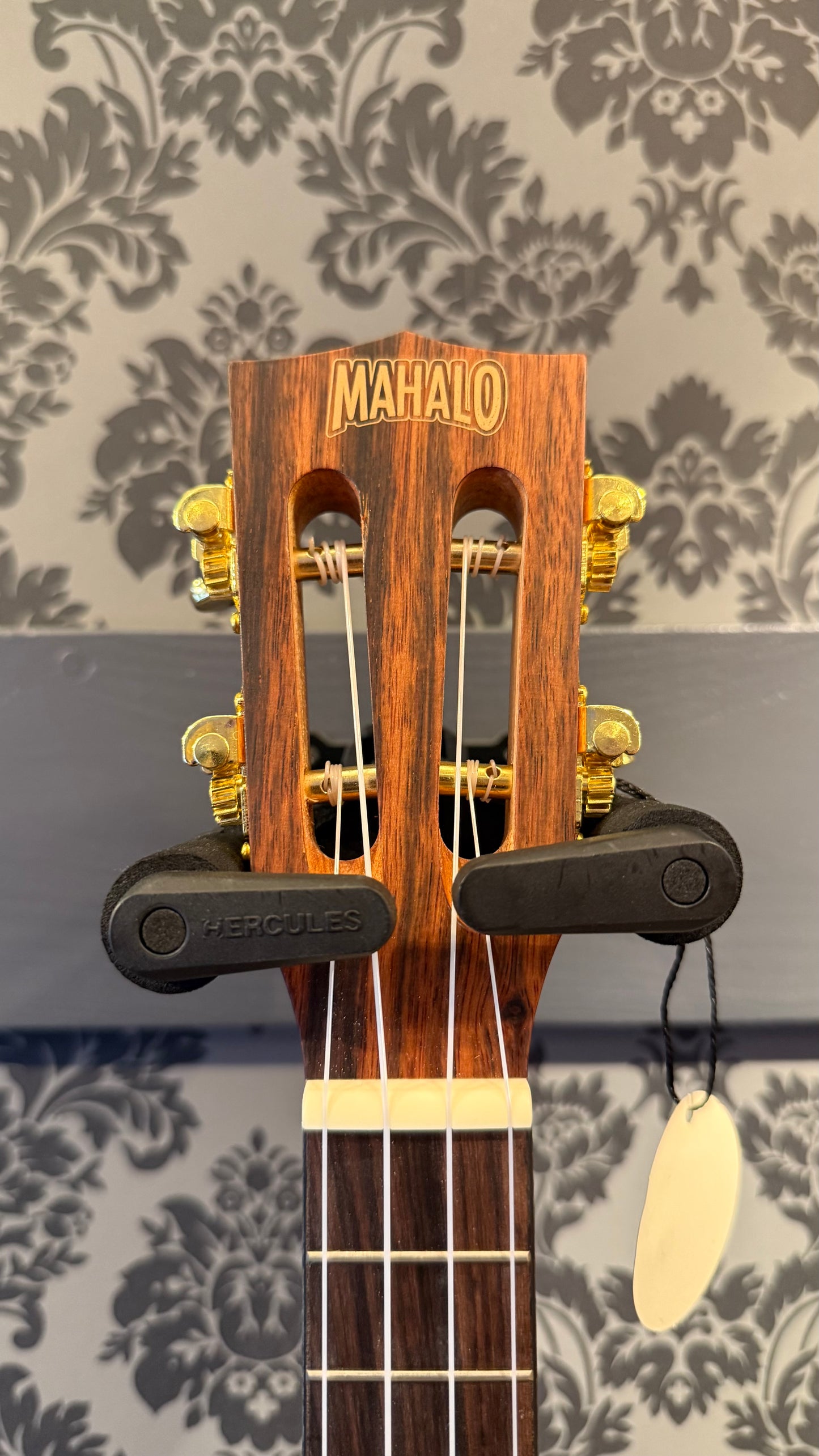 Mahalo MJ-2 Java Series Concert Ukulele