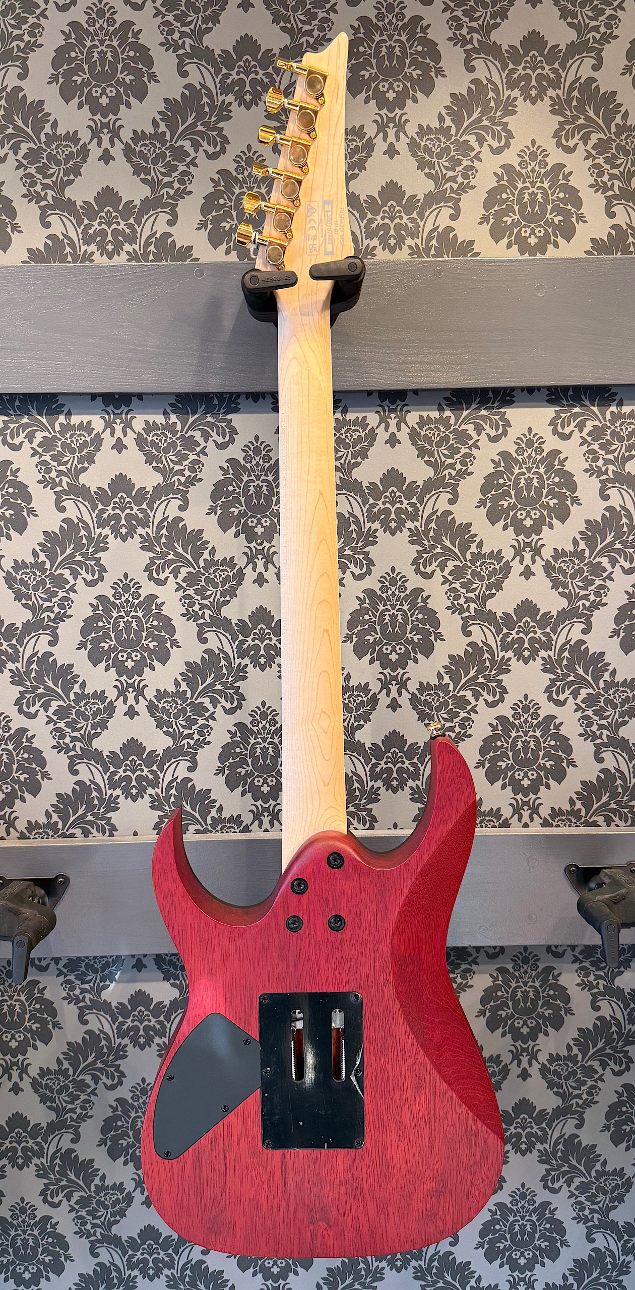 Ibanez RG420-FMSPTGF Transparent Gray Flat