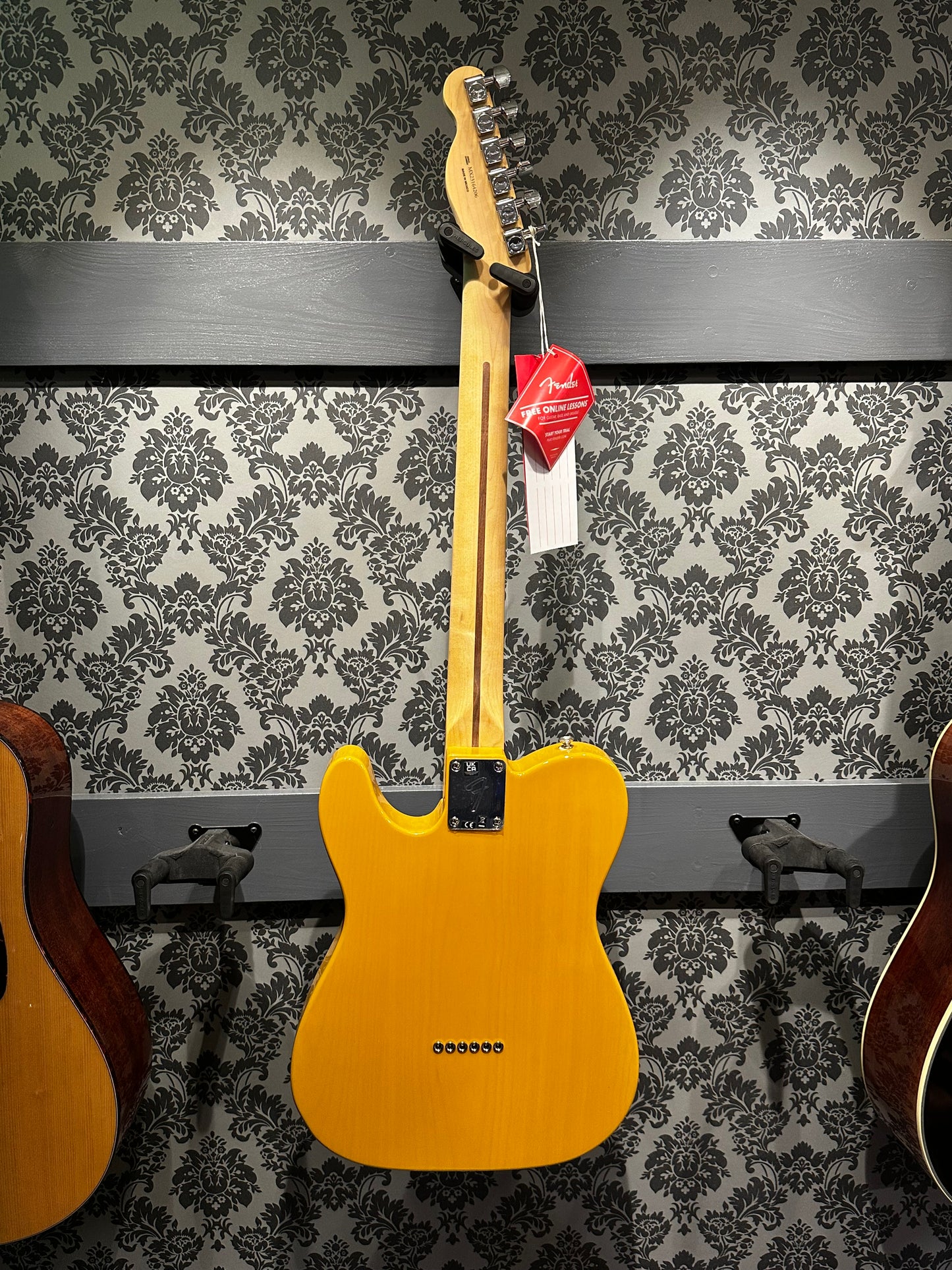 Fender Player Telecaster Butterscotch Blonde MN