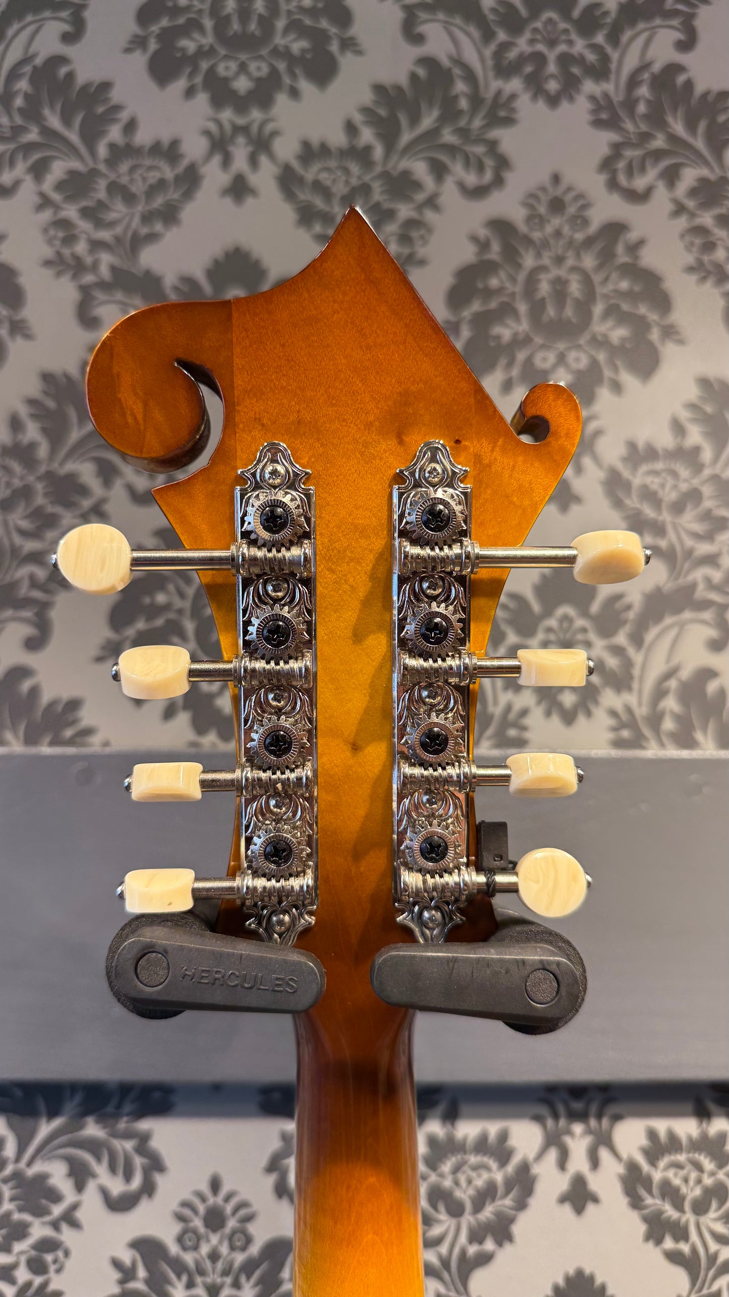 Eastman MD615-GB F-Style incl.case