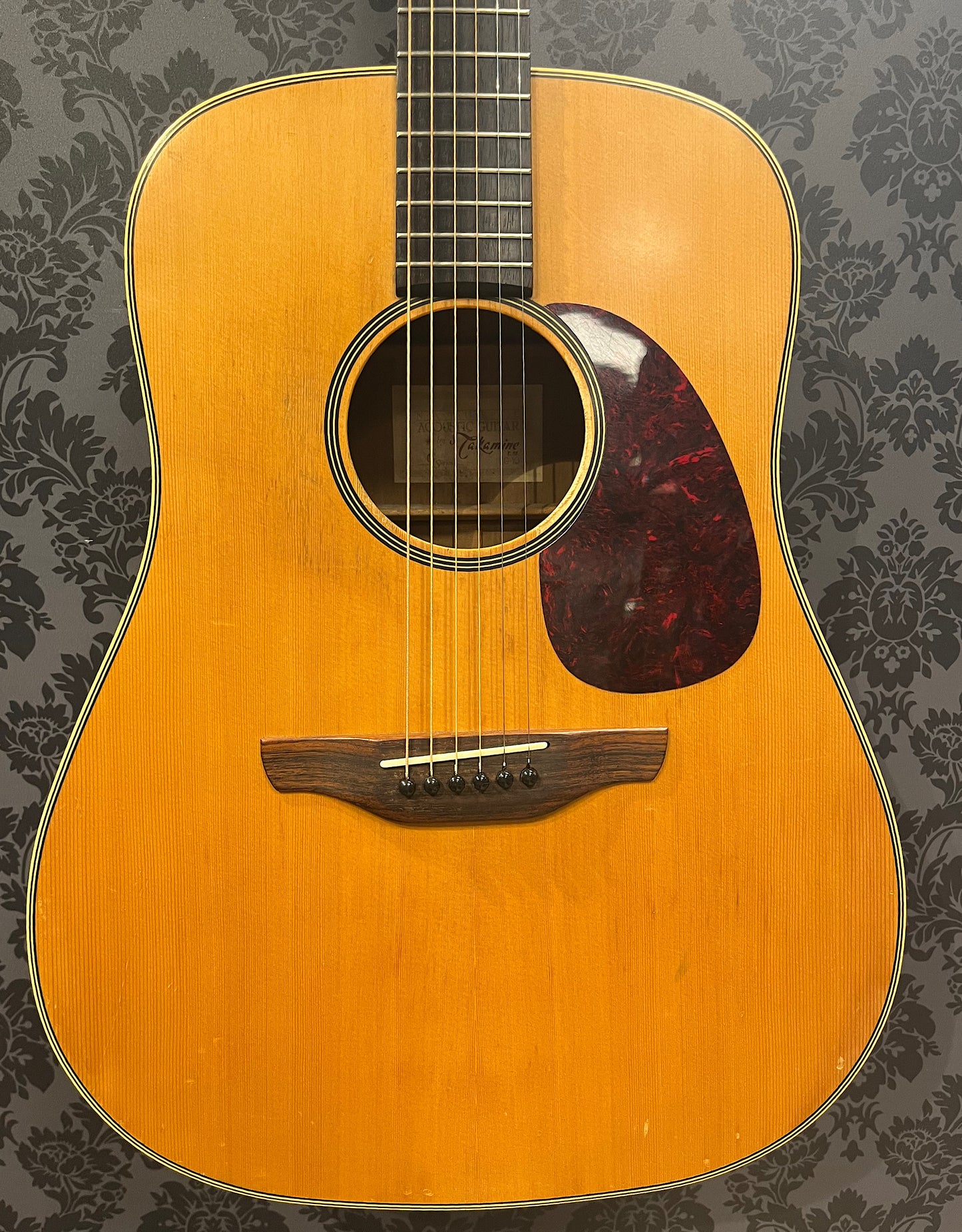 Takamine EG-10 G-series (occasion)