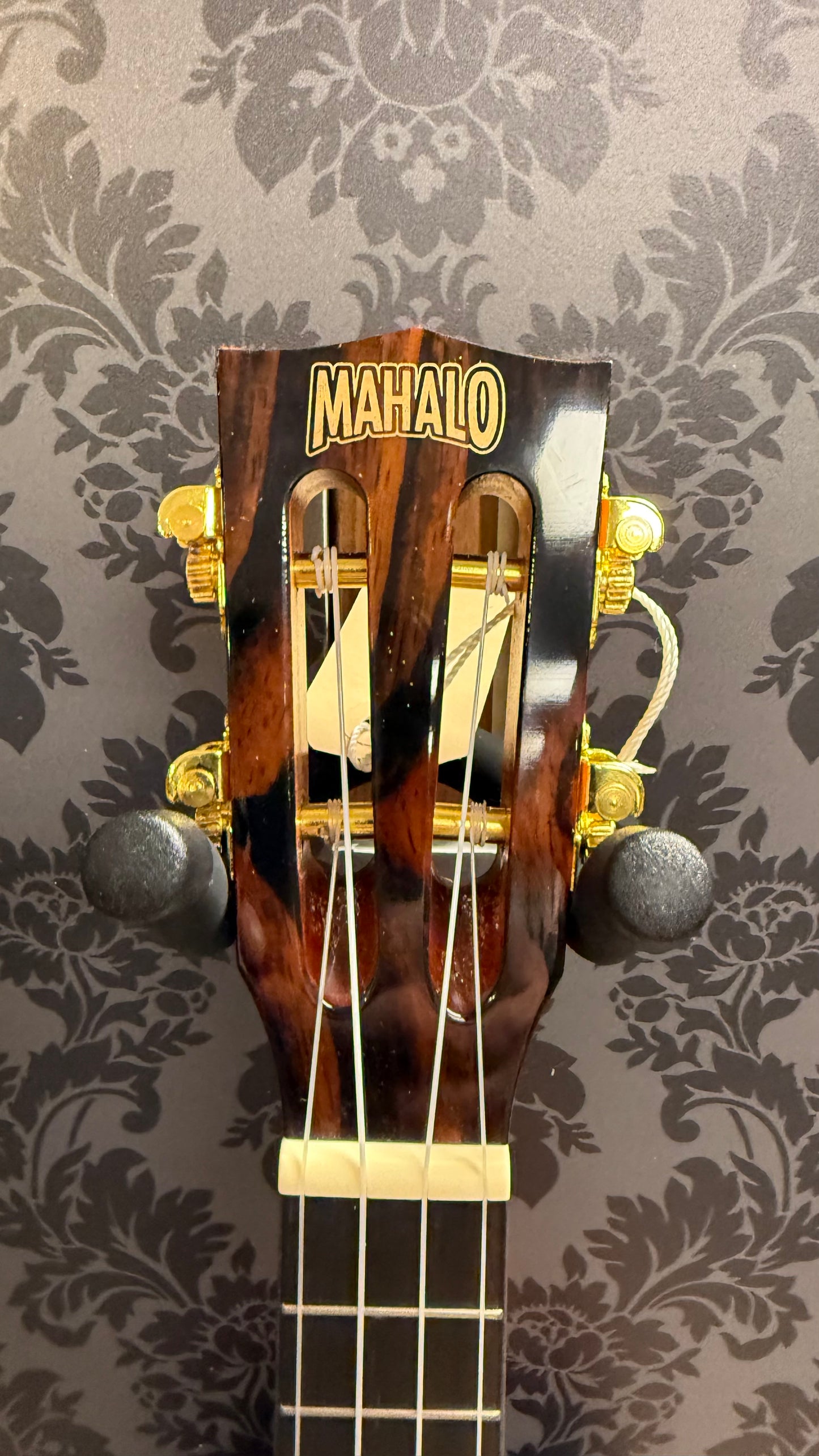 Mahalo MJ2 VNA Java Series Concert Ukelele incl.bag