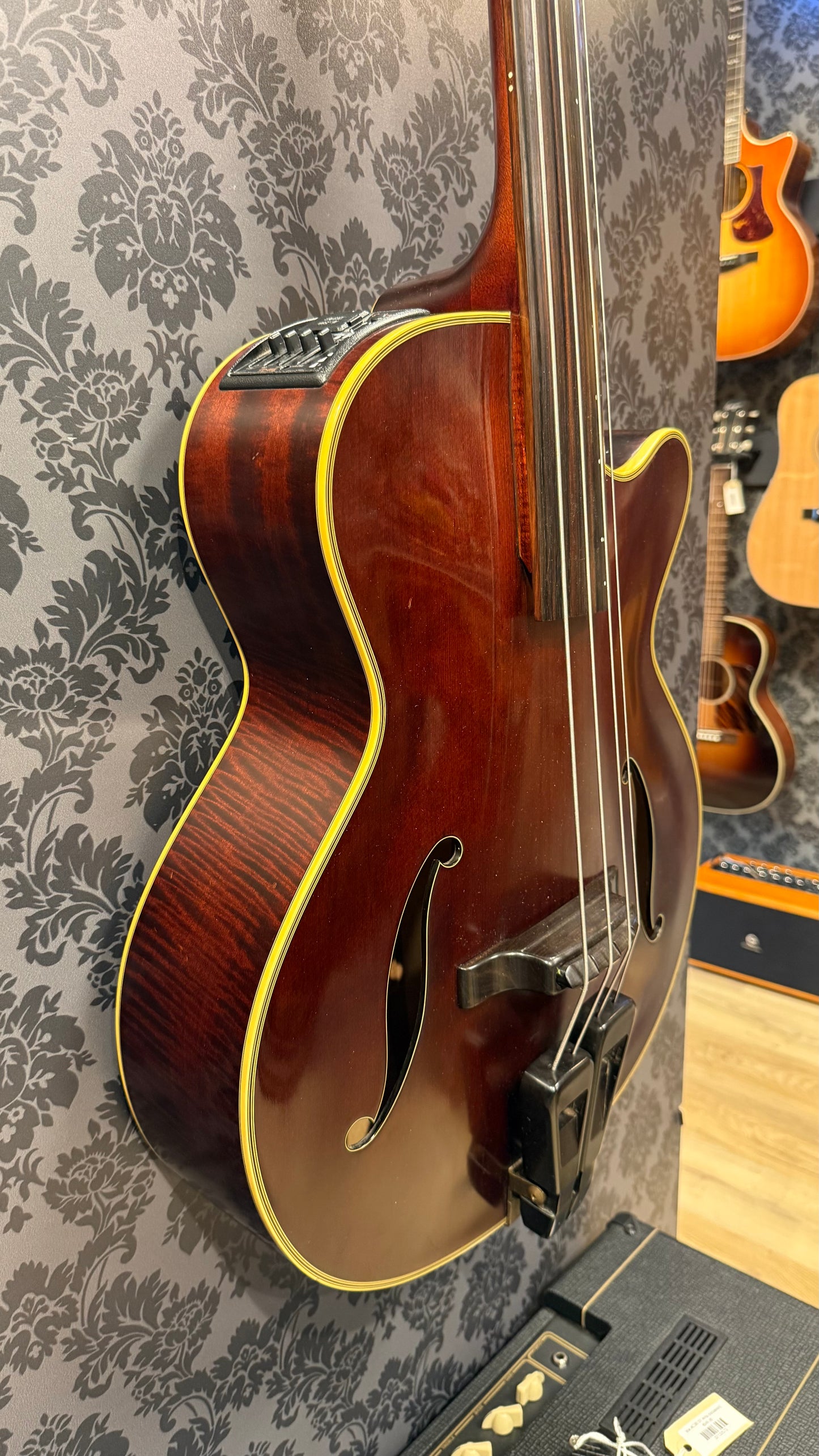 Takamine B10 Acoustic Bass incl Case (occasion)