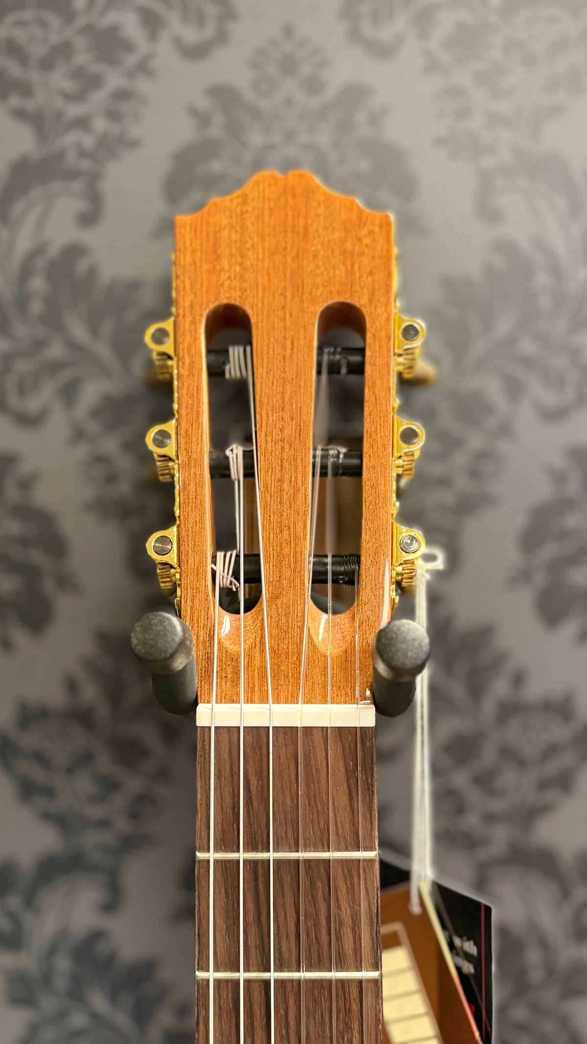 Salvador Cortez CC-10 Classic Guitar
