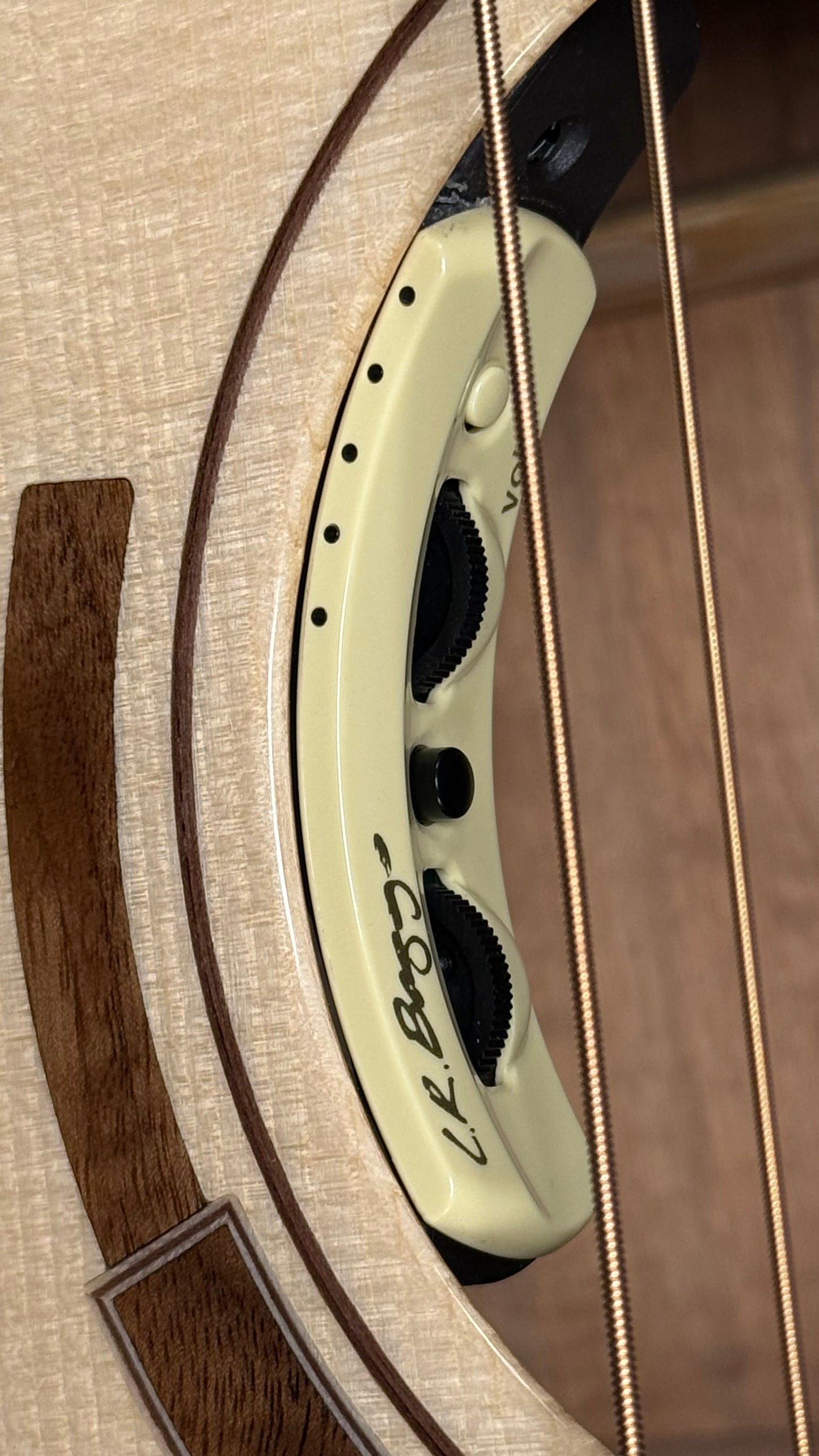 Cort Abstract Limited Koa/Spruce incl. case (occasion)