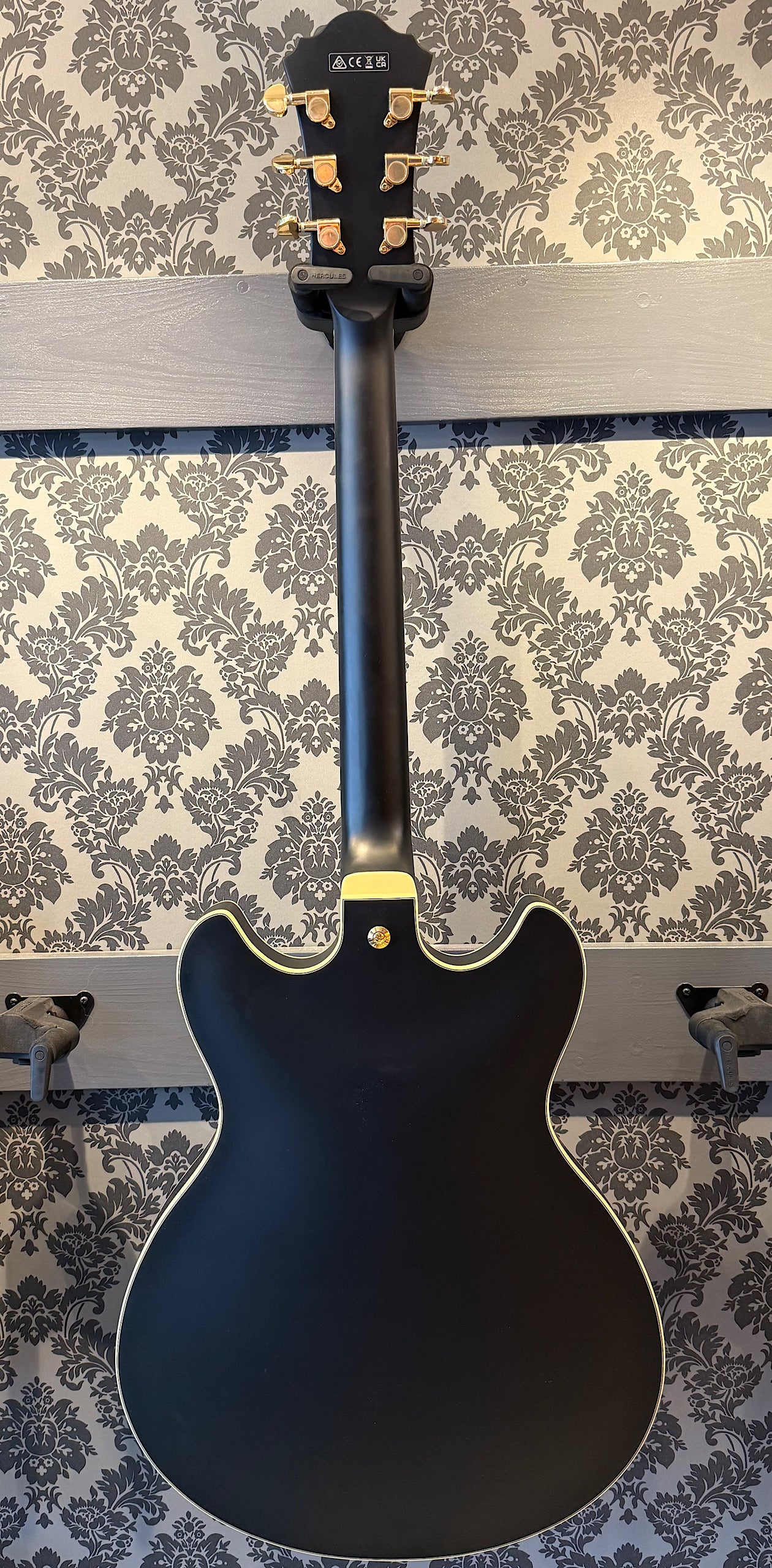 Ibanez AS73 G BKF (occasion)