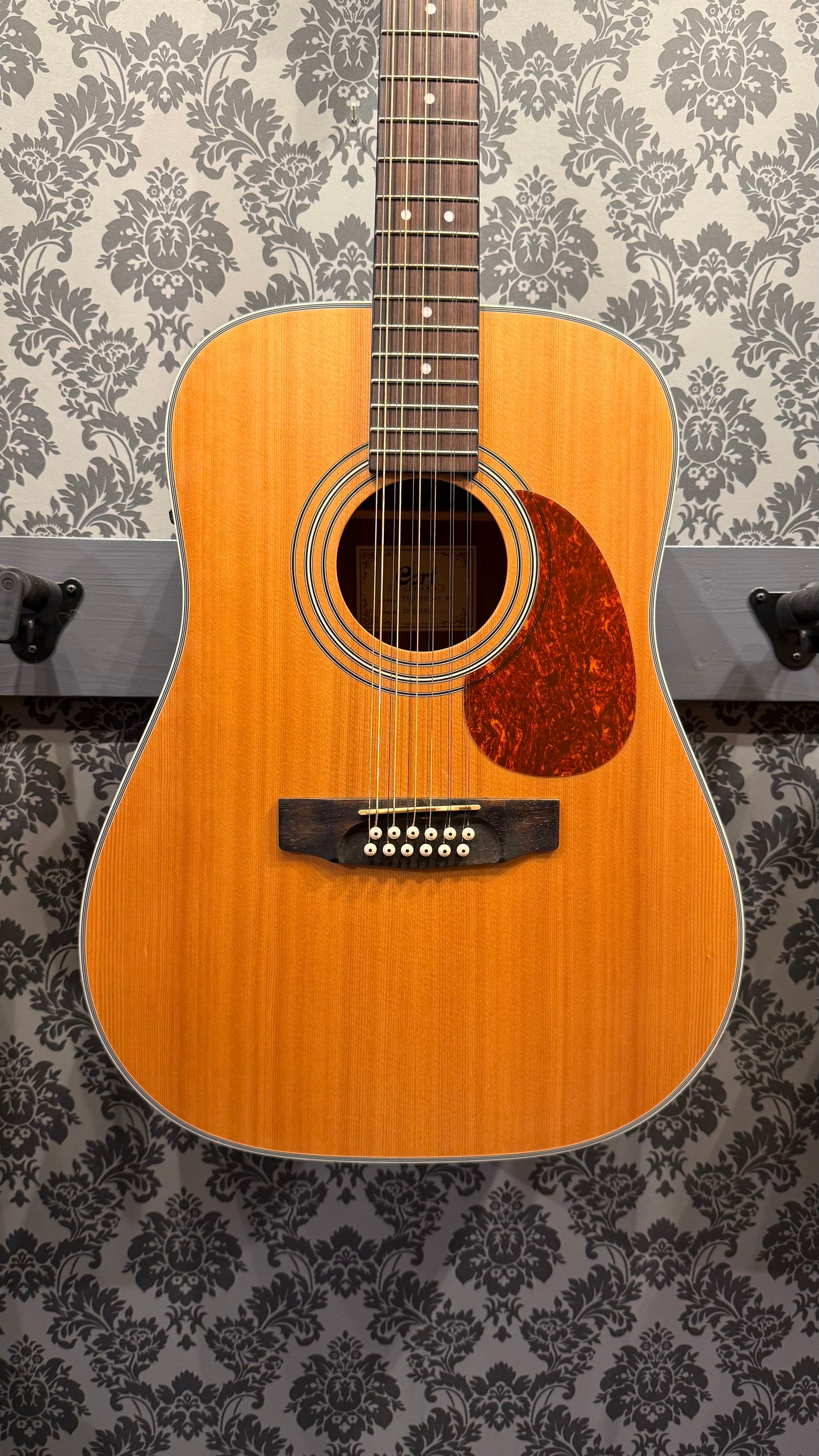 Cort Earth 70E/12 string (occasion)