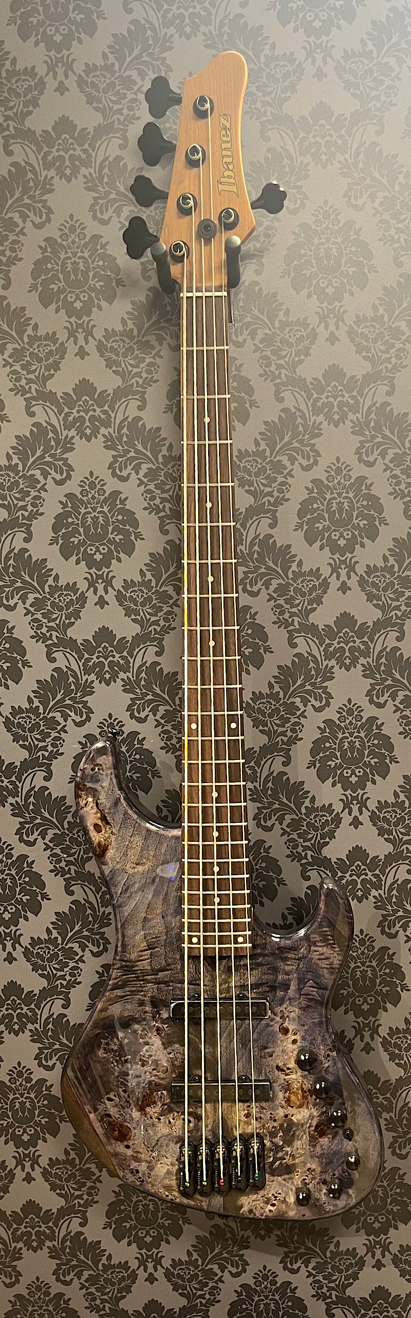 Ibanez MDM1605-Deep Twilight