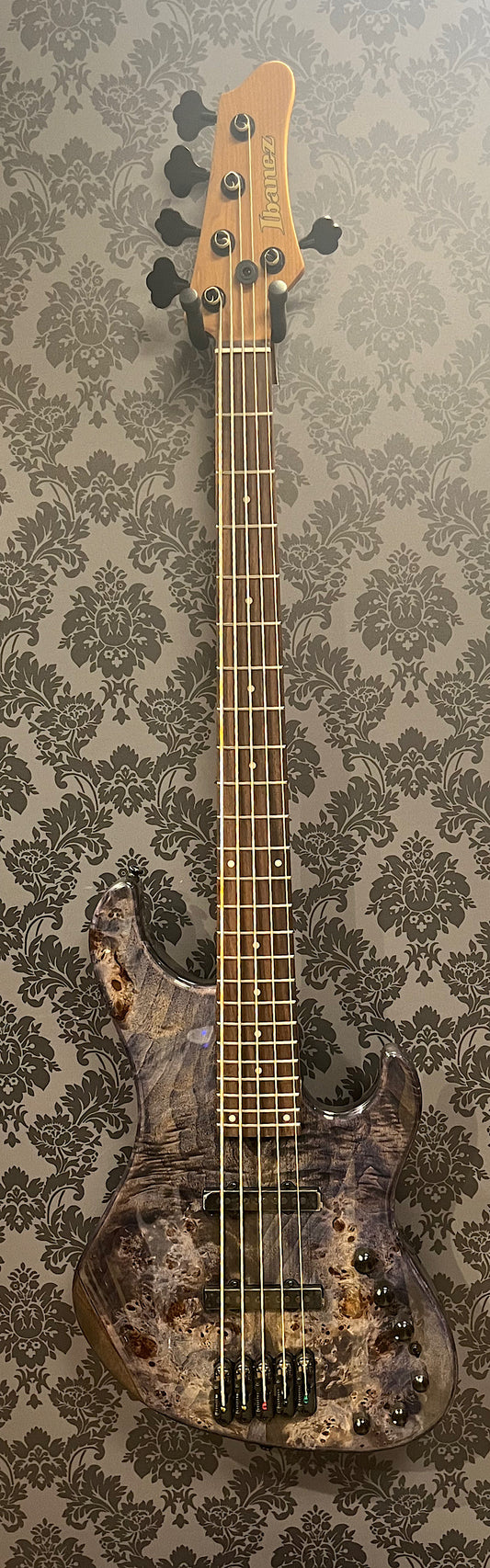 Ibanez MDM1605-Deep Twilight