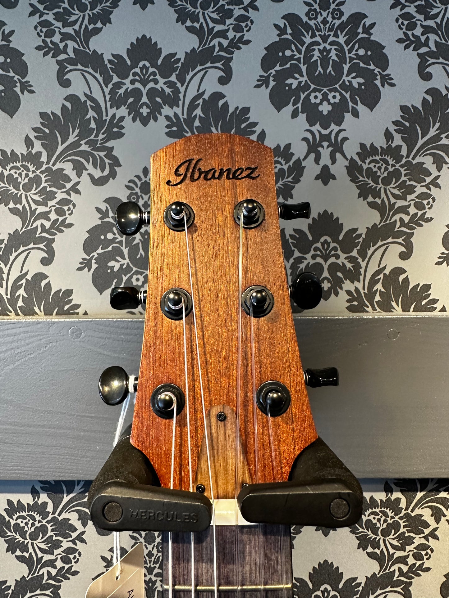 Ibanez AUP-10NOPN Open Pore guitalele Incl. gigbag