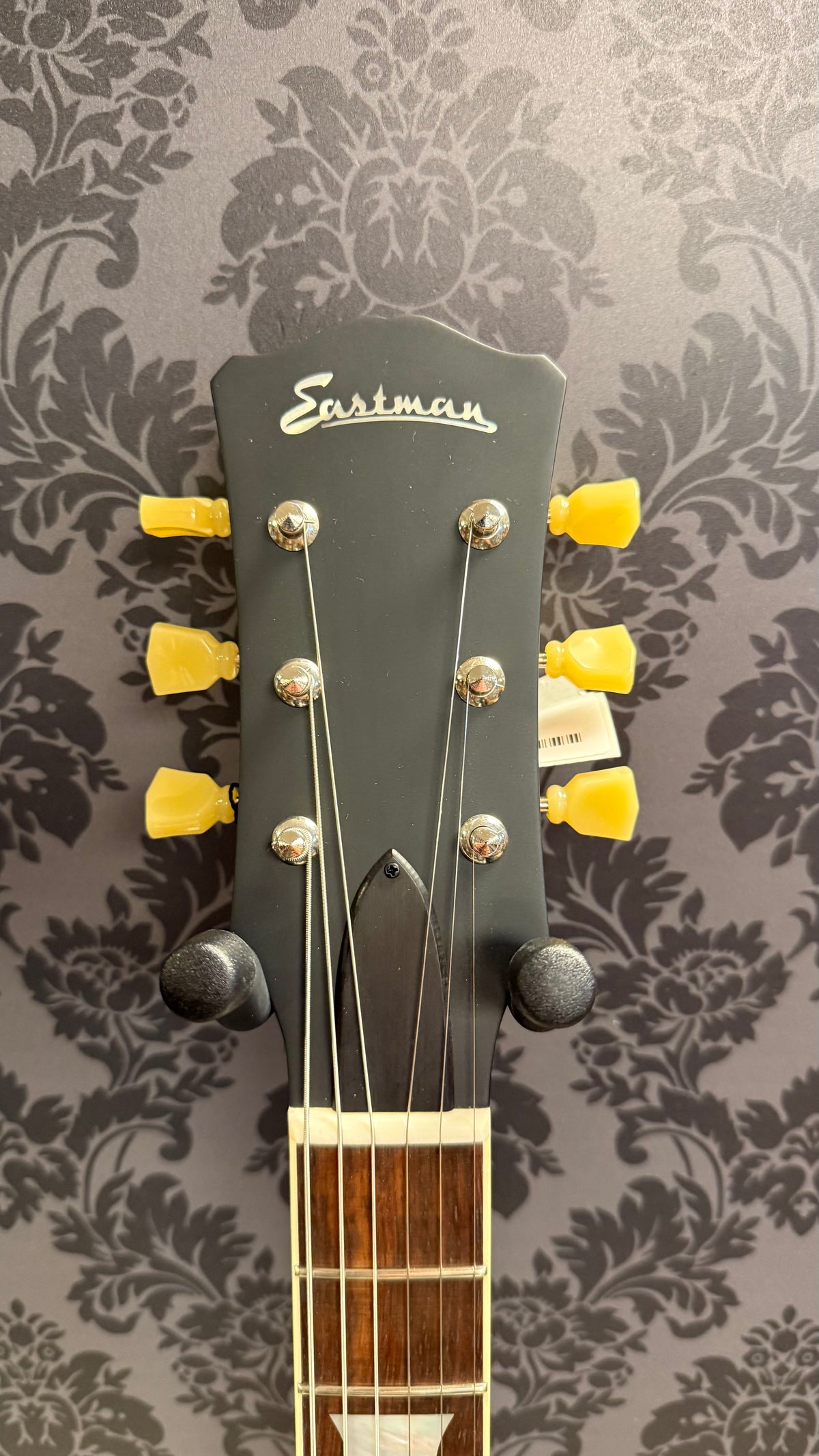 Eastman SB56/S-GD incl. bag