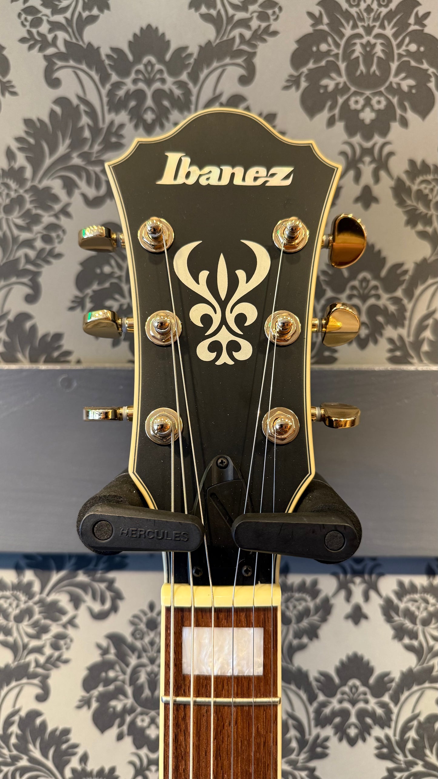 Ibanez AS73 G BKF (occasion)