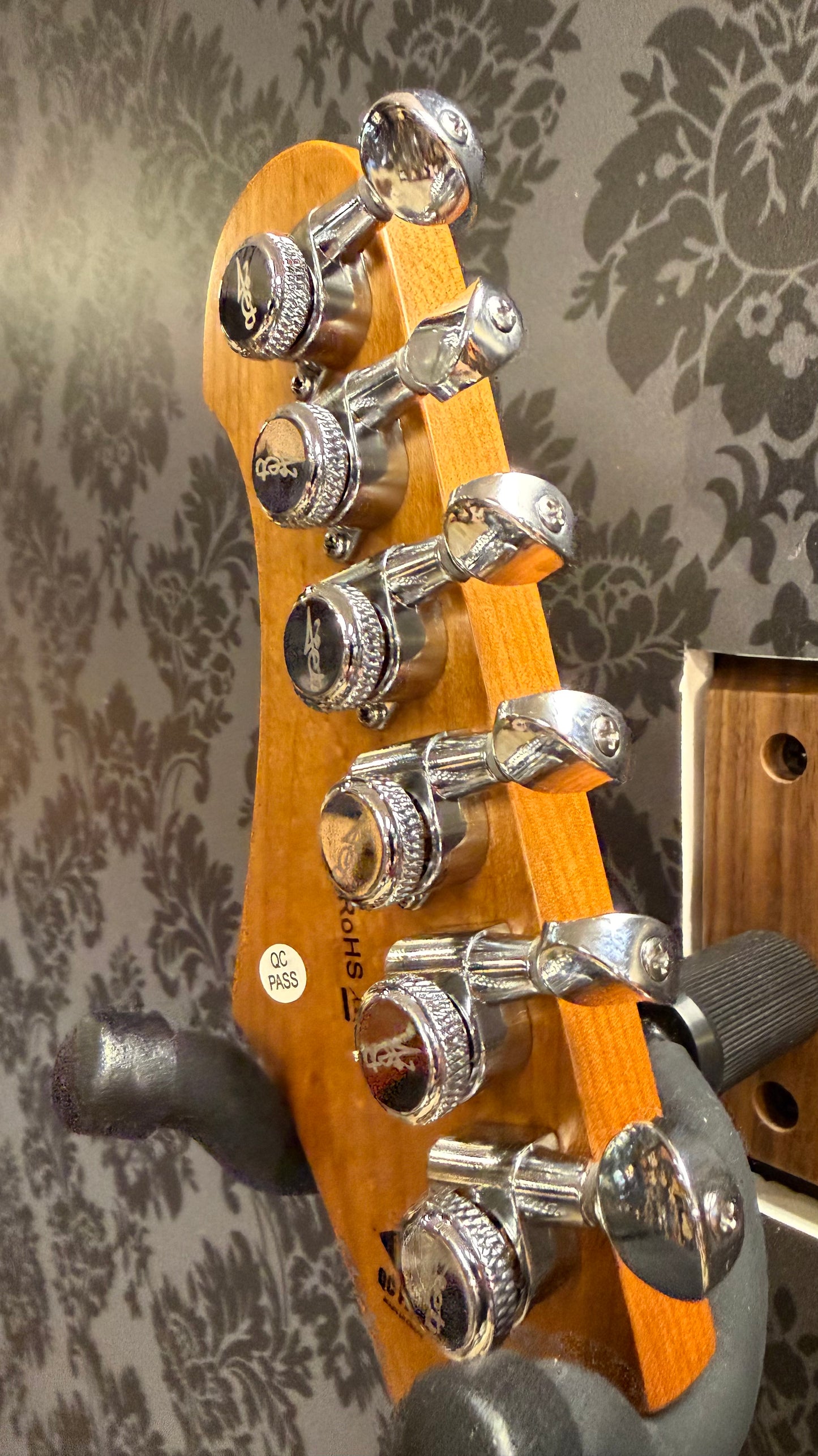 JET Guitars JT350 BK R