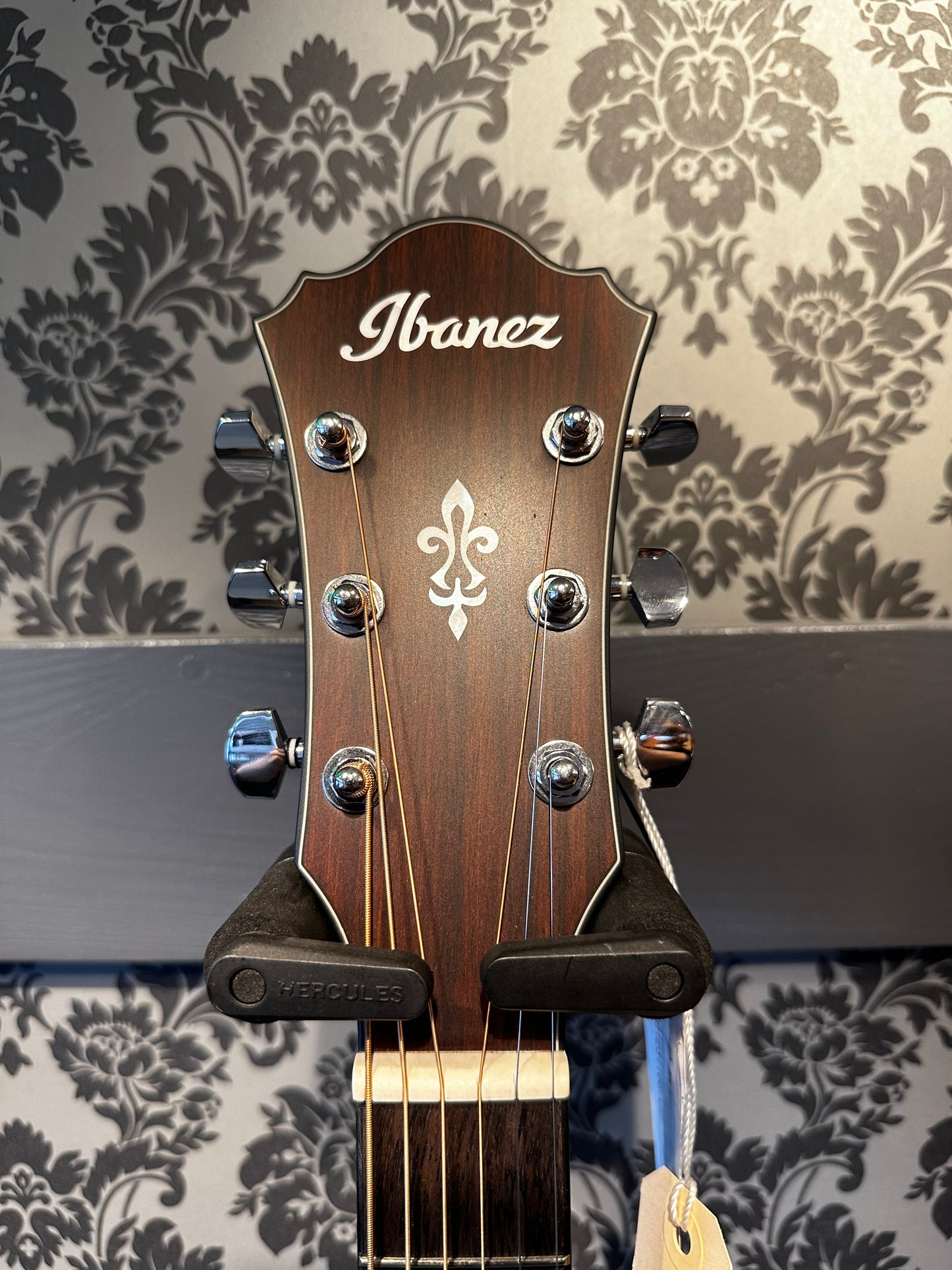 Ibanez AE-140WKH