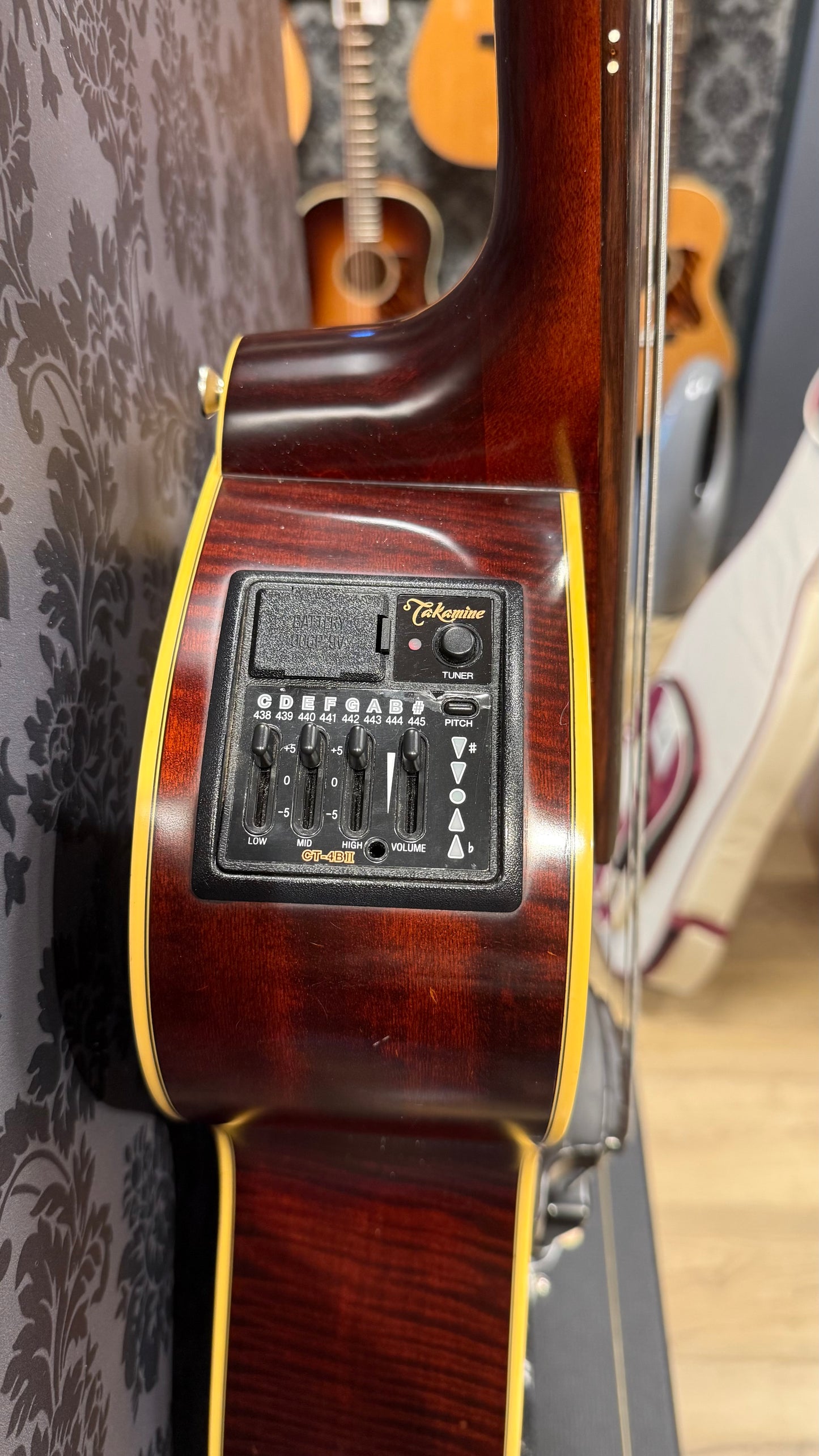 Takamine B10 Acoustic Bass incl Case (occasion)