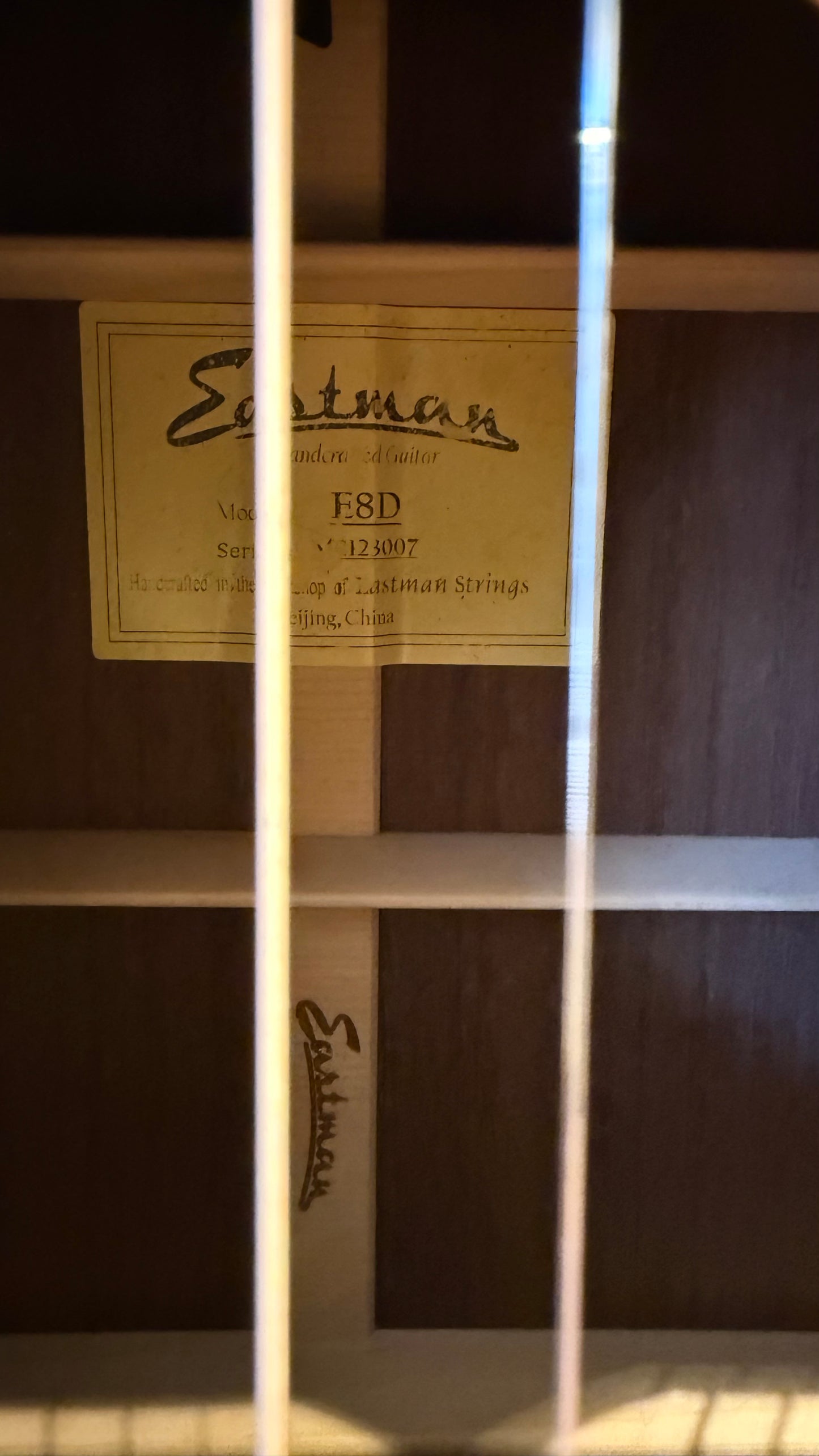 Eastman E 8D with Anthem incl. Case (occasion)