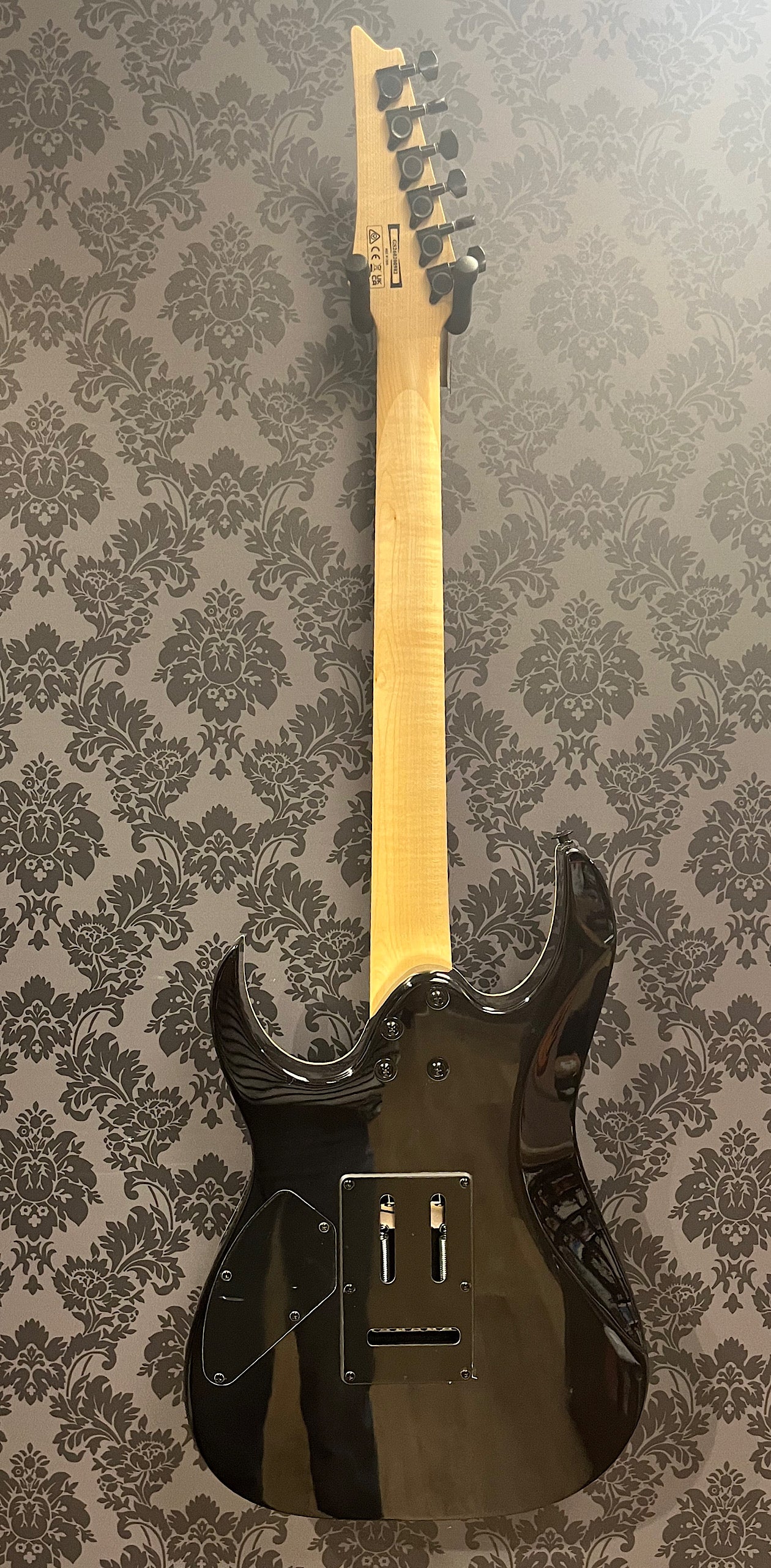 Ibanez GRG120QASP-BKG