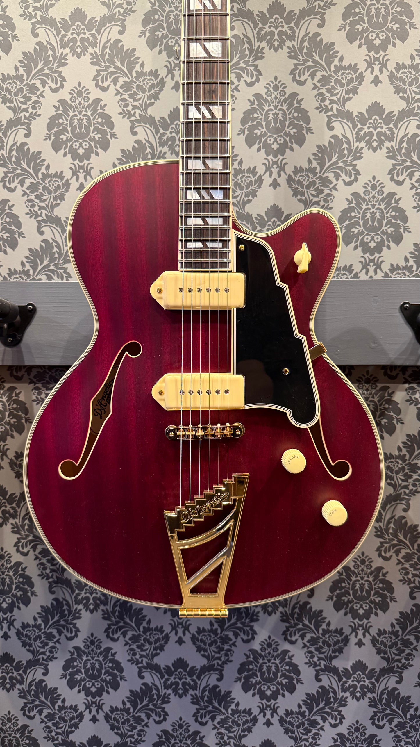 DAngelico Deluxe SS Satin Trans Wine incl. Case