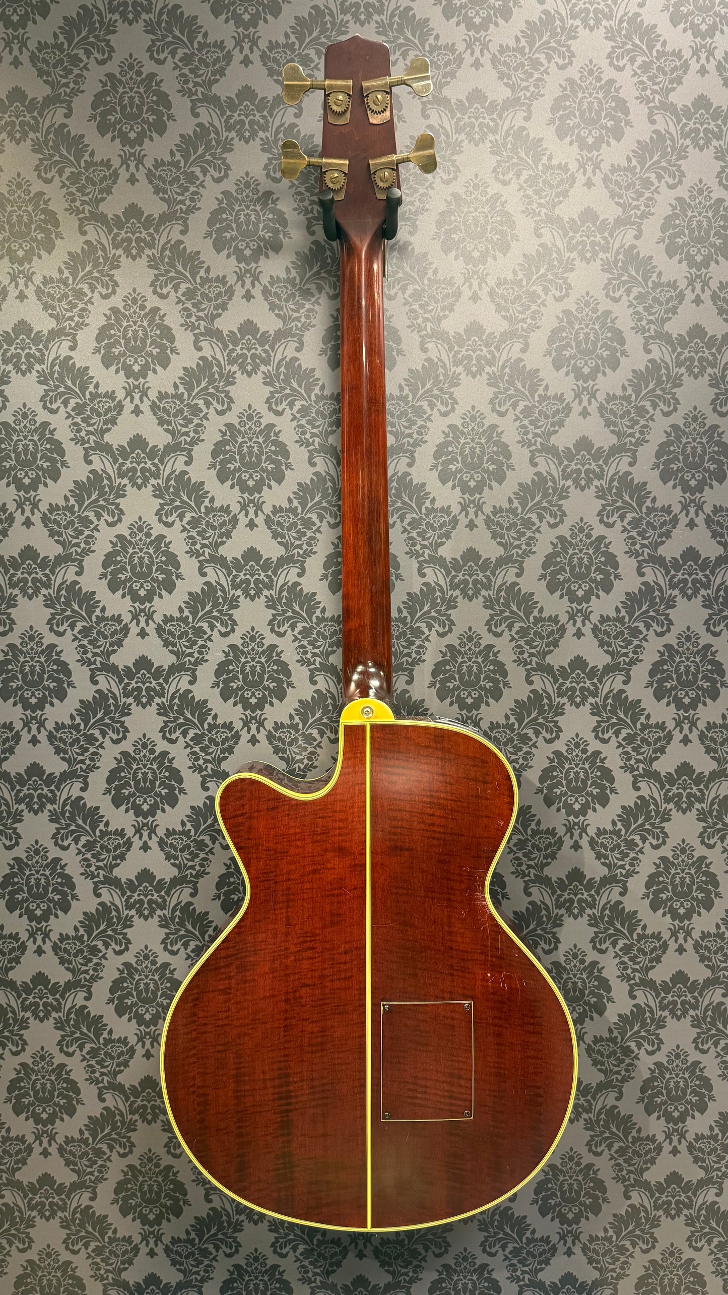 Takamine B10 Acoustic Bass incl Case (occasion)