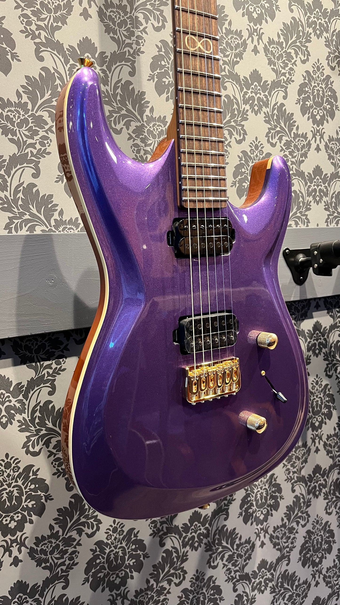 Chapman Stix & Starrs Signature Pegasus Purple Incl. gigbag