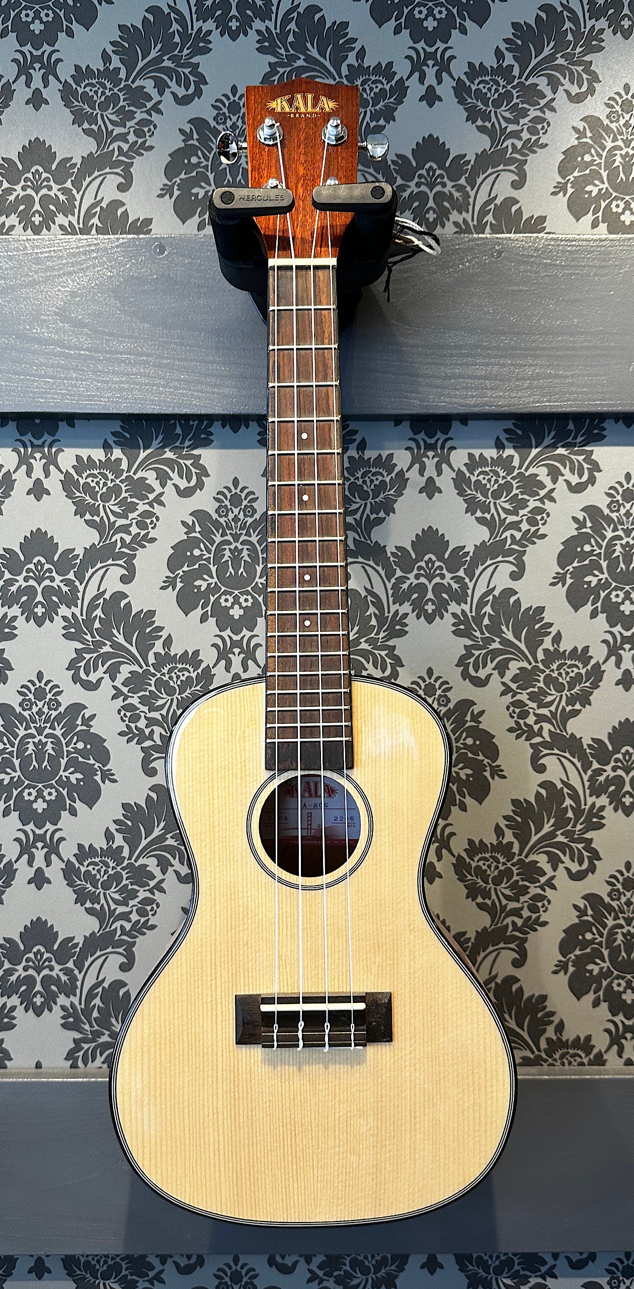 Kala KA-SCG Solid Spruce Incl. gigbag