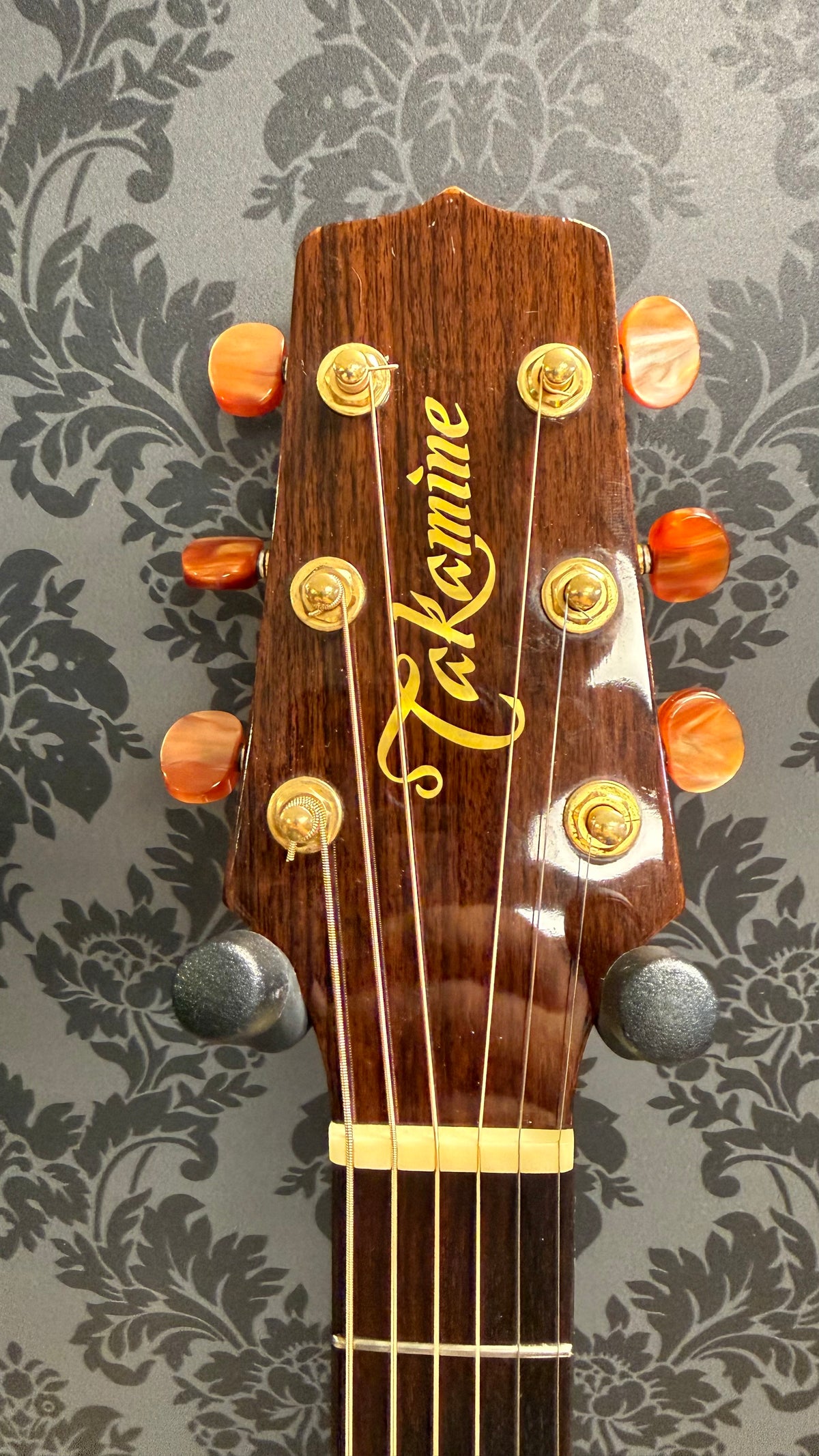 Takamine Santa Fe PSF-15C + case (Occasion)