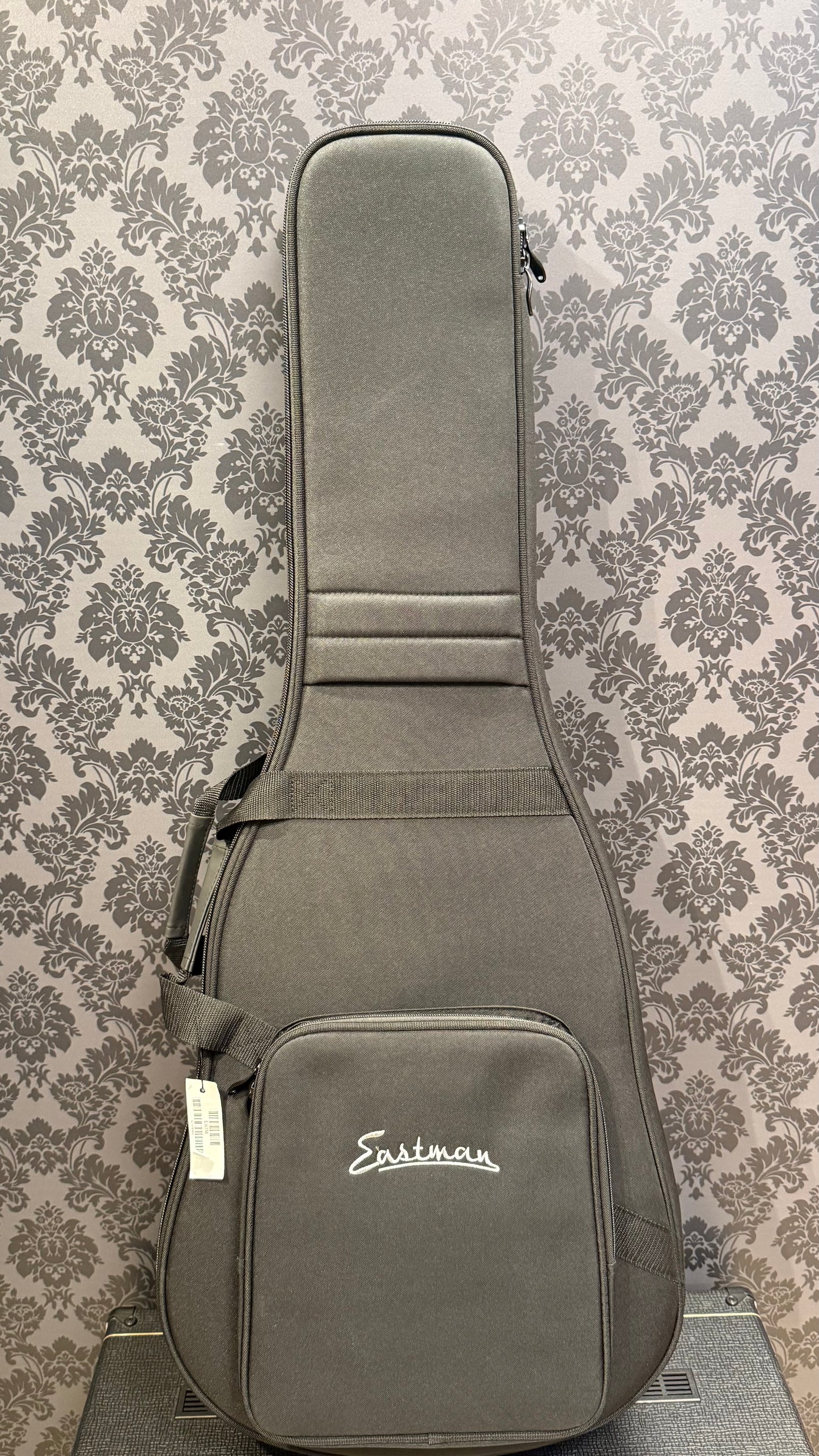 Eastman E1 OM Incl. Gigbag