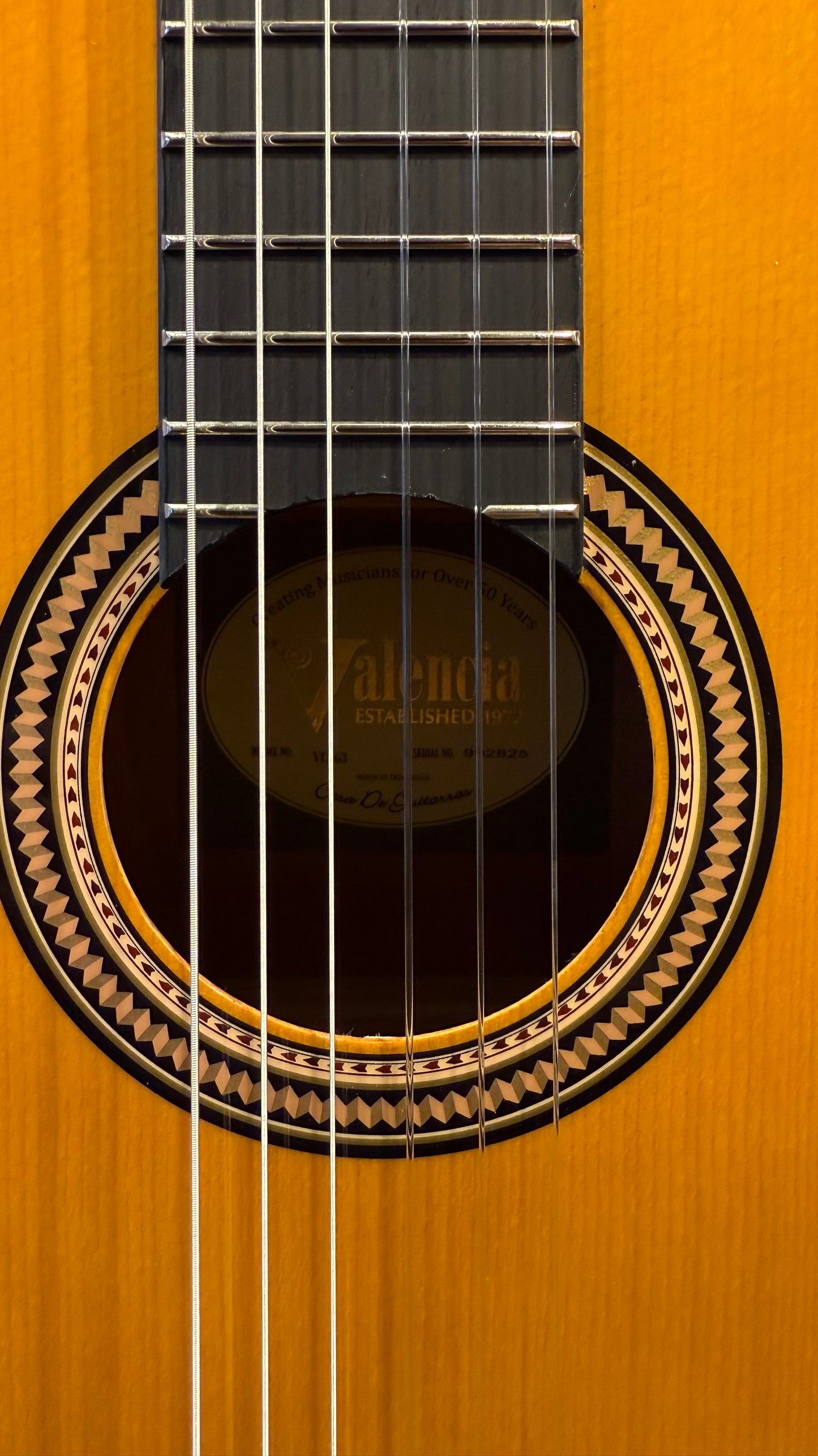 Valencia VC-263 3/4 Sitka Spruce classic