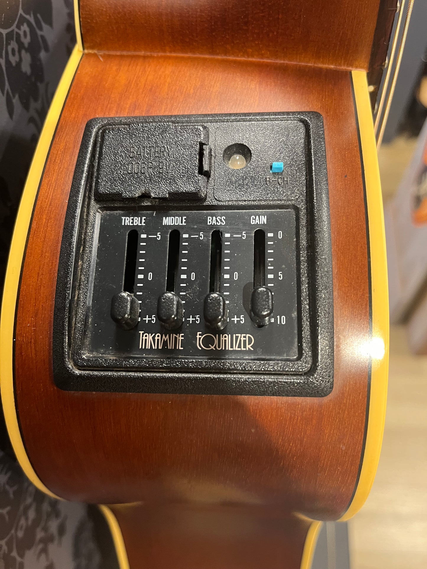 Takamine EG-10 G-series (occasion)