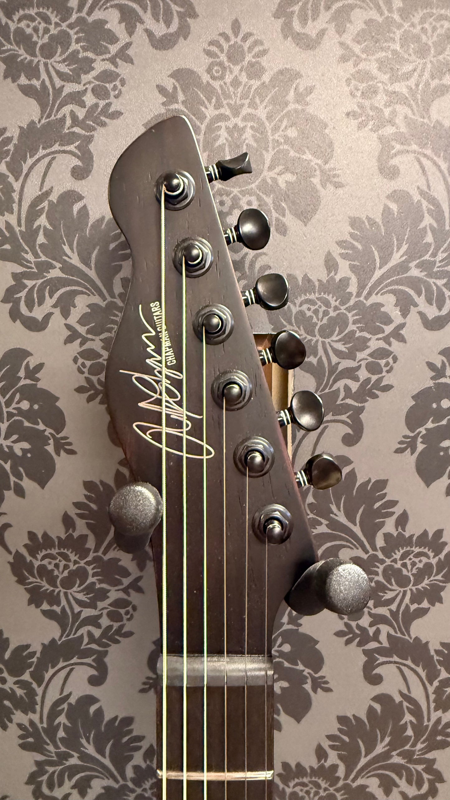 Chapman Scout Legacy Sky Burst + Gigbag