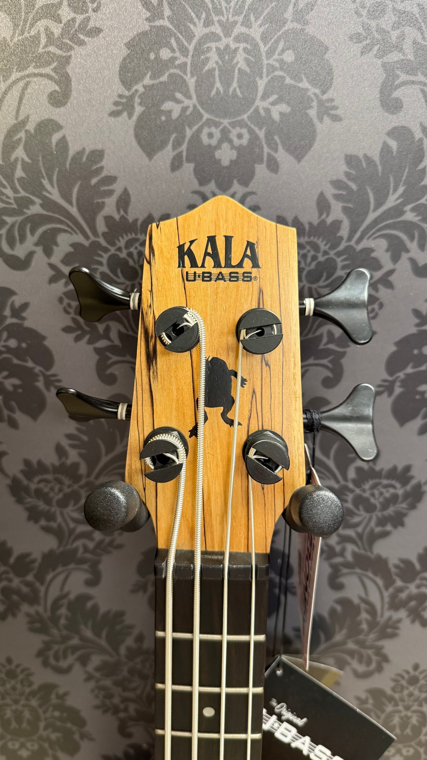 Kala U-Bass Spalted Maple incl.bag