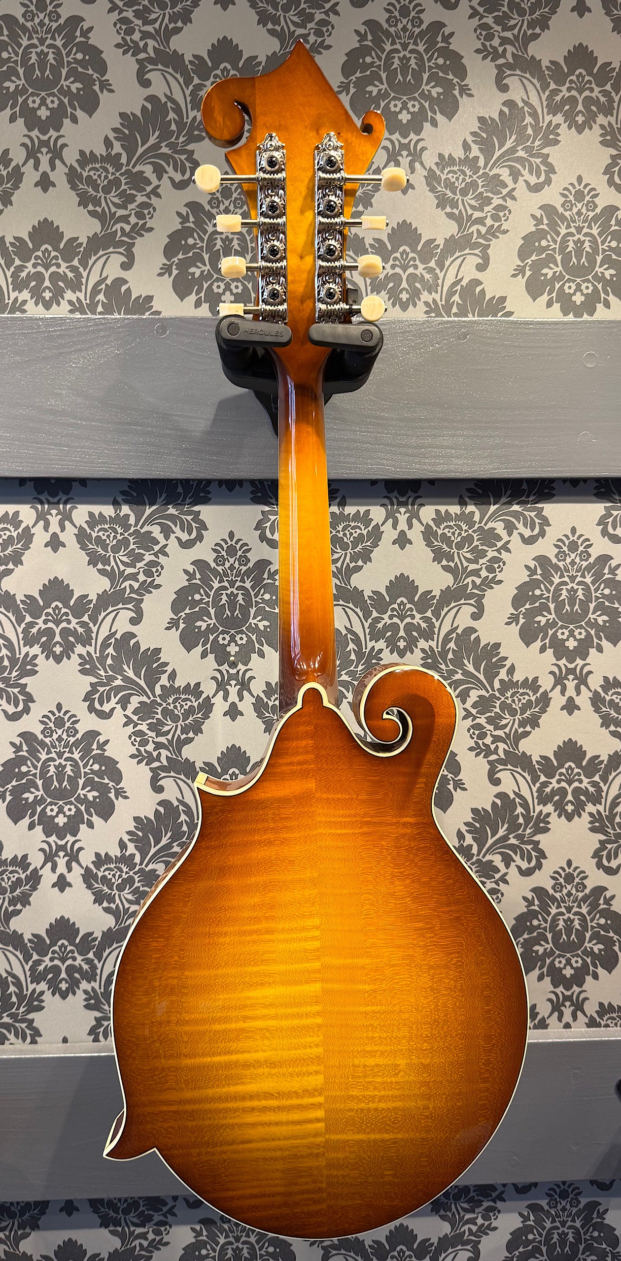 Eastman MD615-GB F-Style incl.case