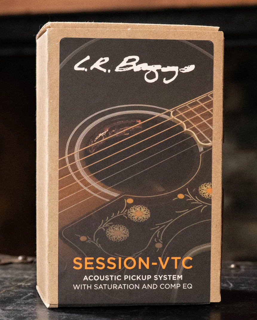 LR Baggs Session VTC