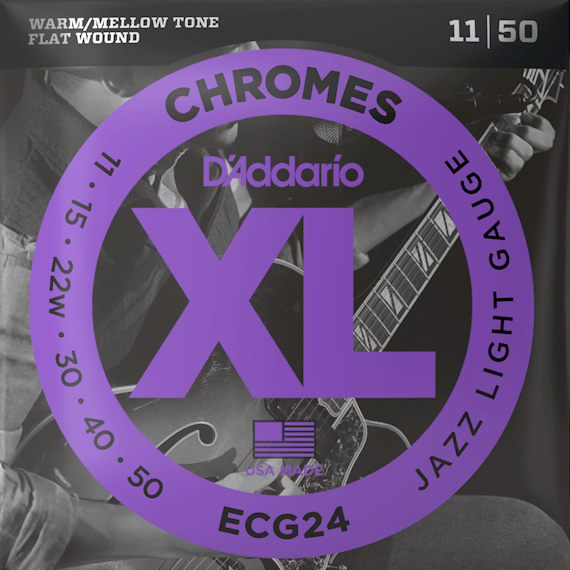 D’Addario ECG24 Flatwound